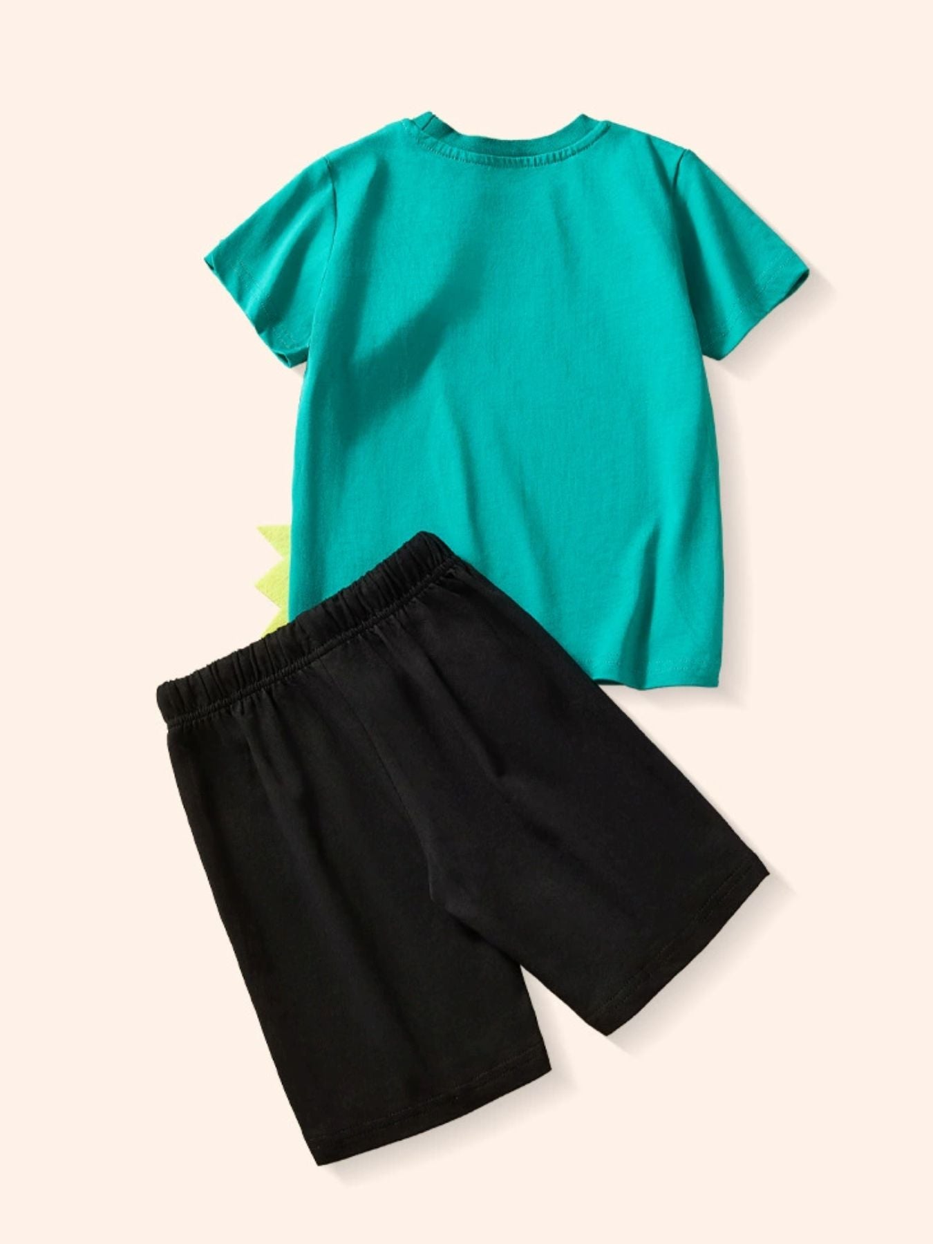 Children's Dinosaur Short Sleeve Tee and Shorts Set