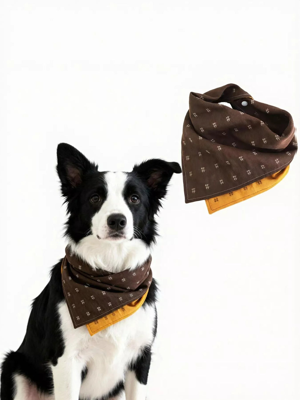 Soft Pet Scarf