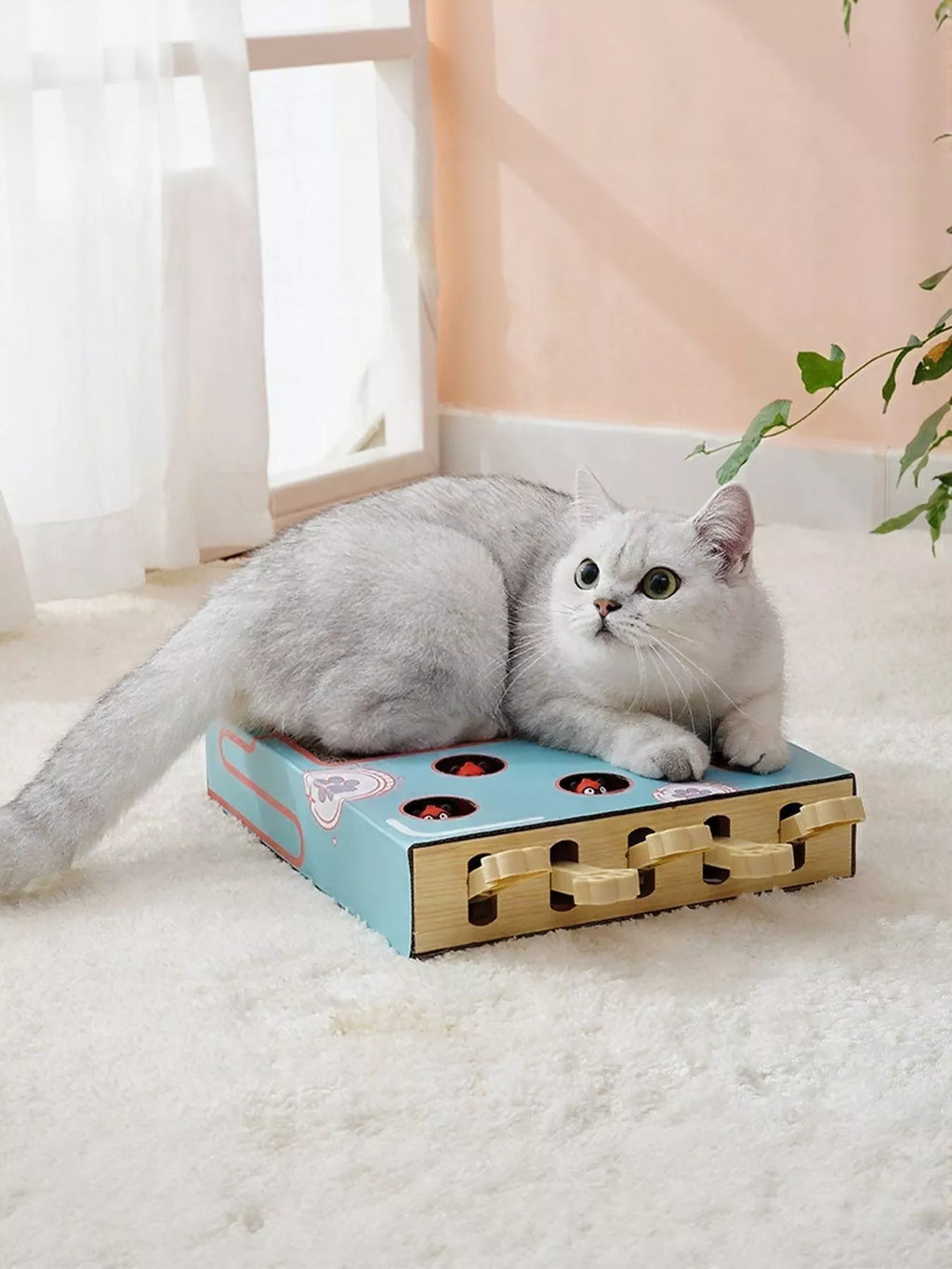 Interactive Whack-A-Mole Cat Toy Box