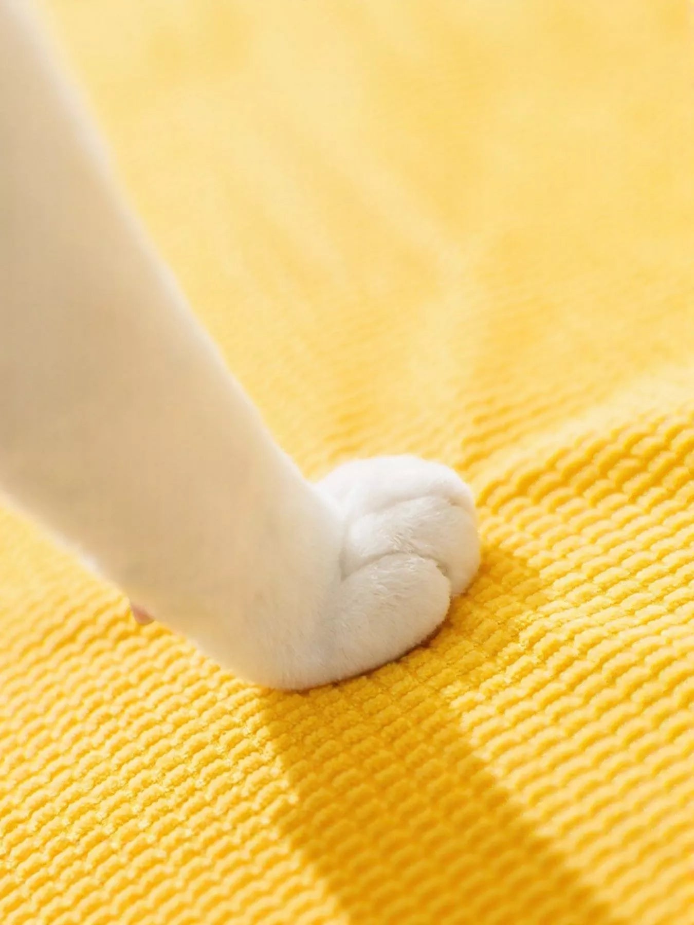 Soft Pet Stairs