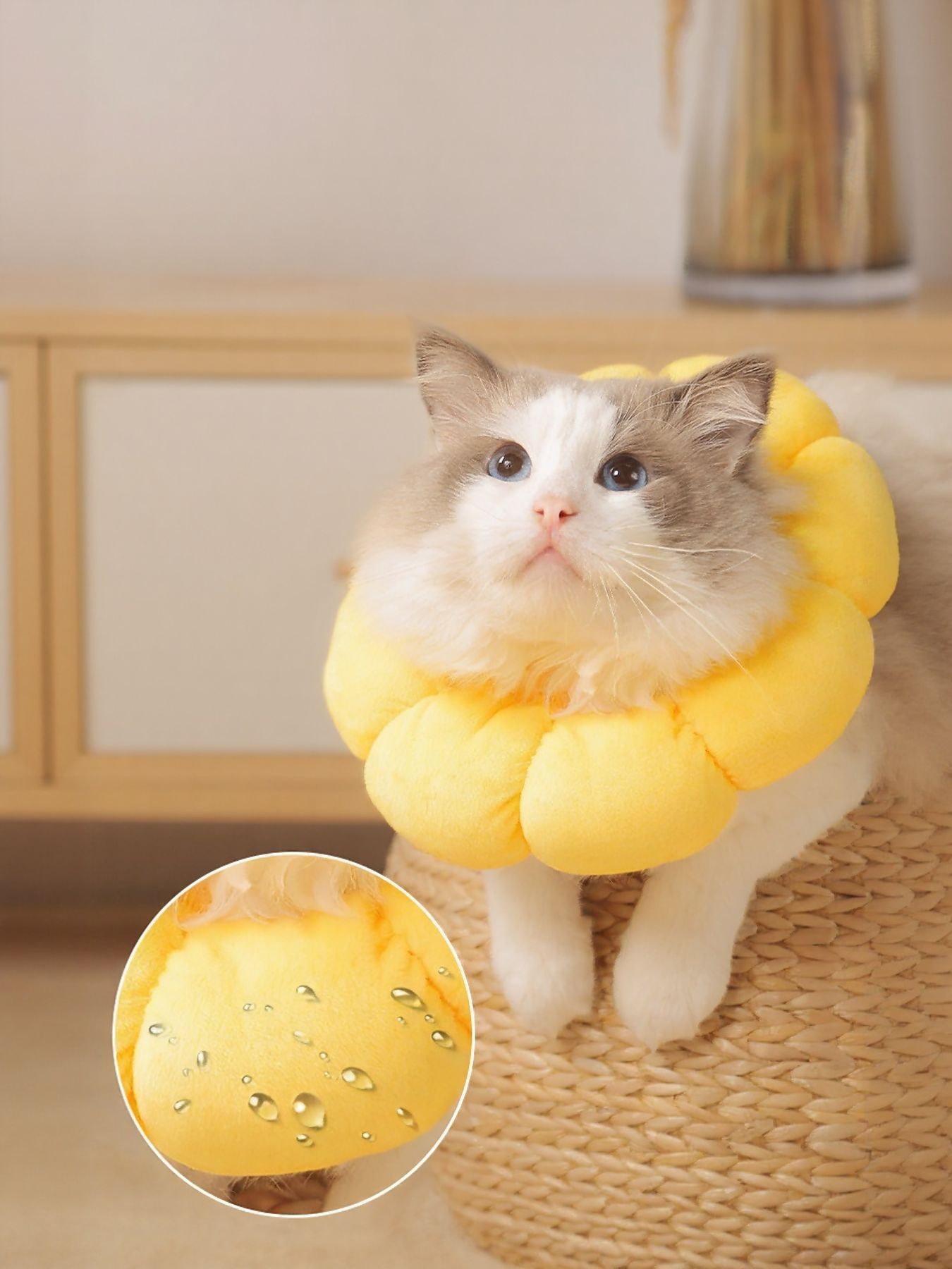 Sunflower Protective Pet Collar