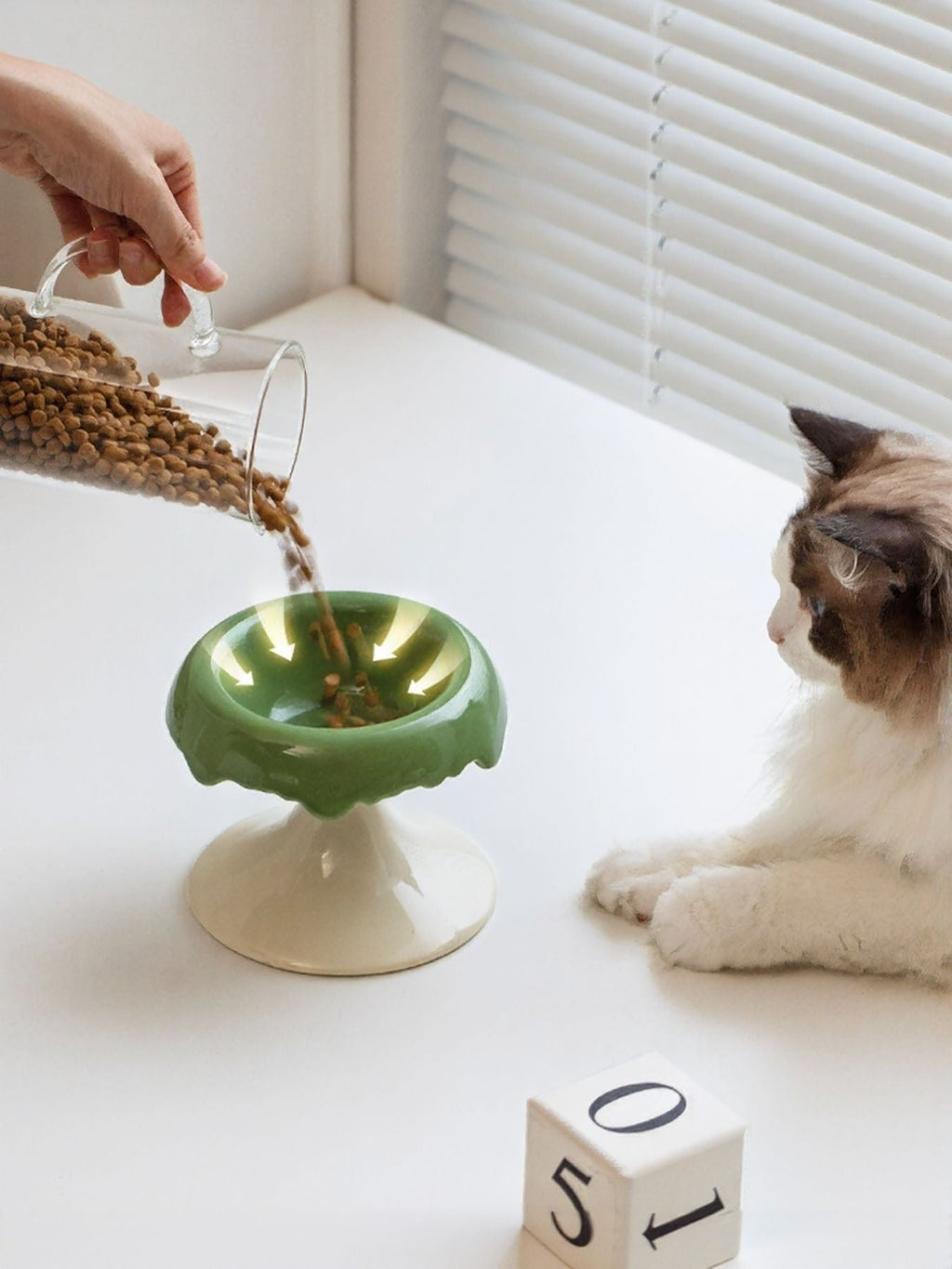 Elevated Ceramic Pet Bowl
