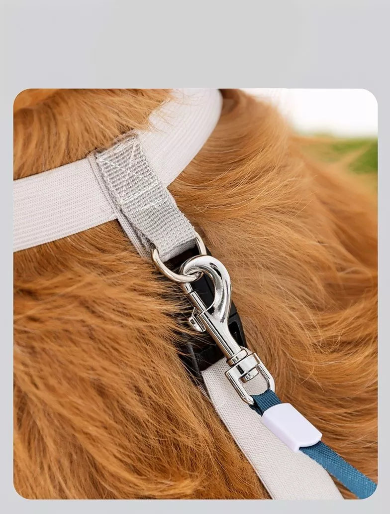 Protective Legging Pet Shoes