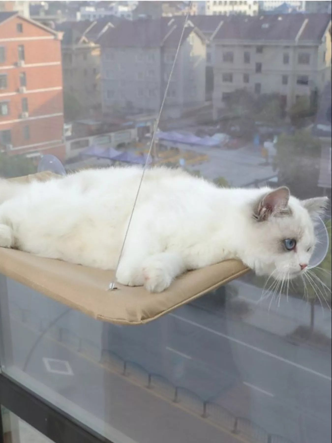 Window Perch Cat Hammock with Suction Cups