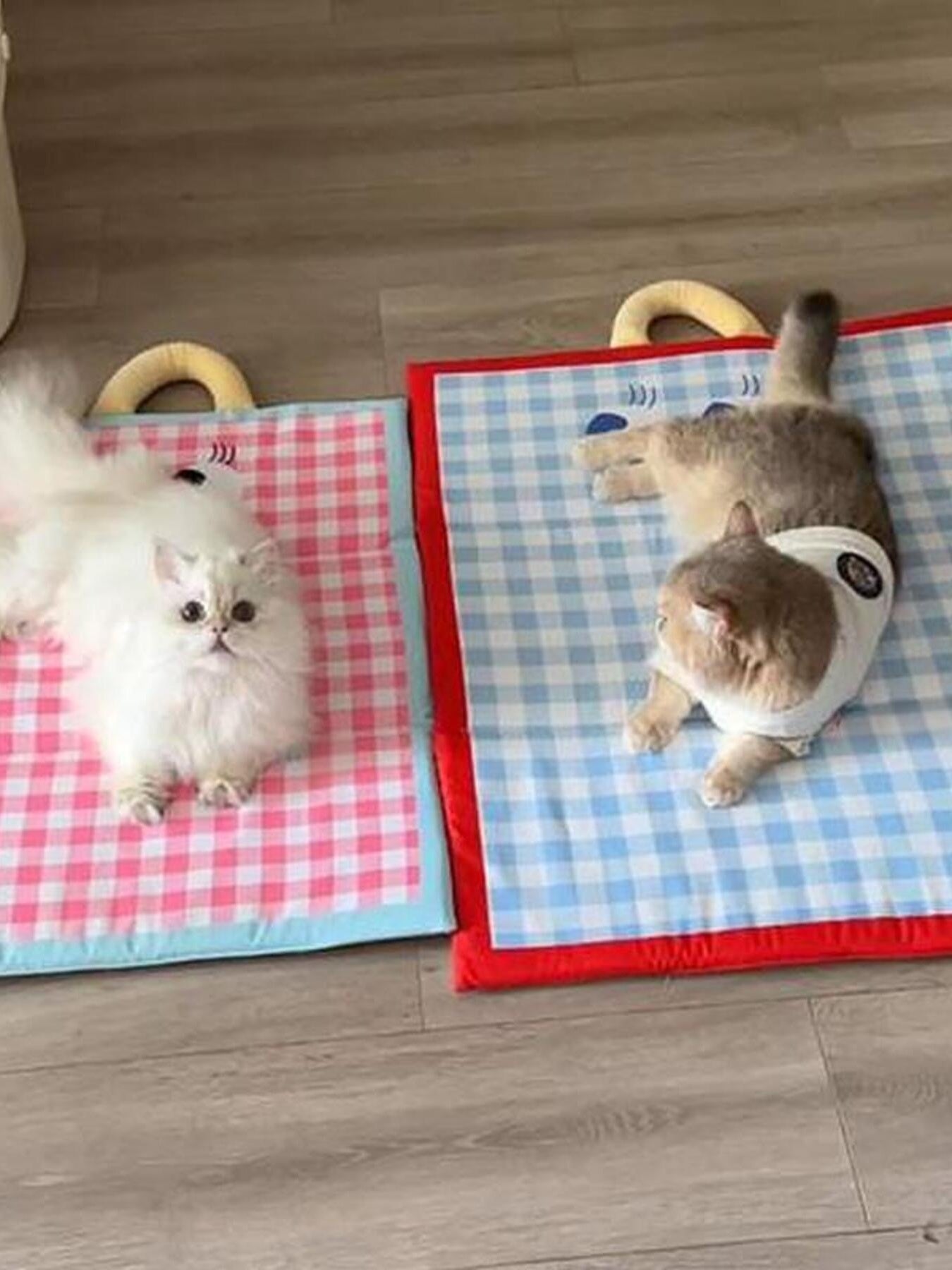 Plaid Pet Mat with Handle