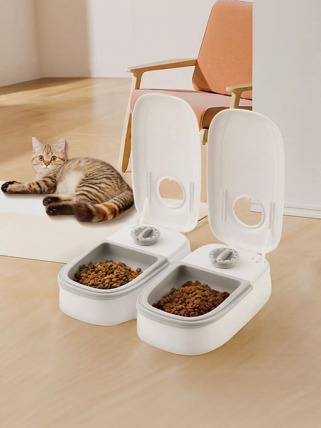 Automatic Pet Feeder with Portion Control