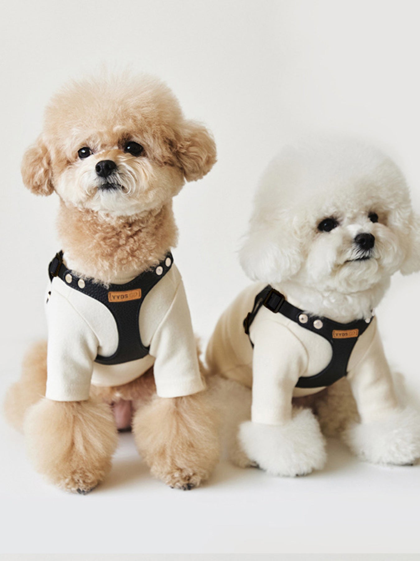 Rivet-Decorated Dog Harness Leash Set