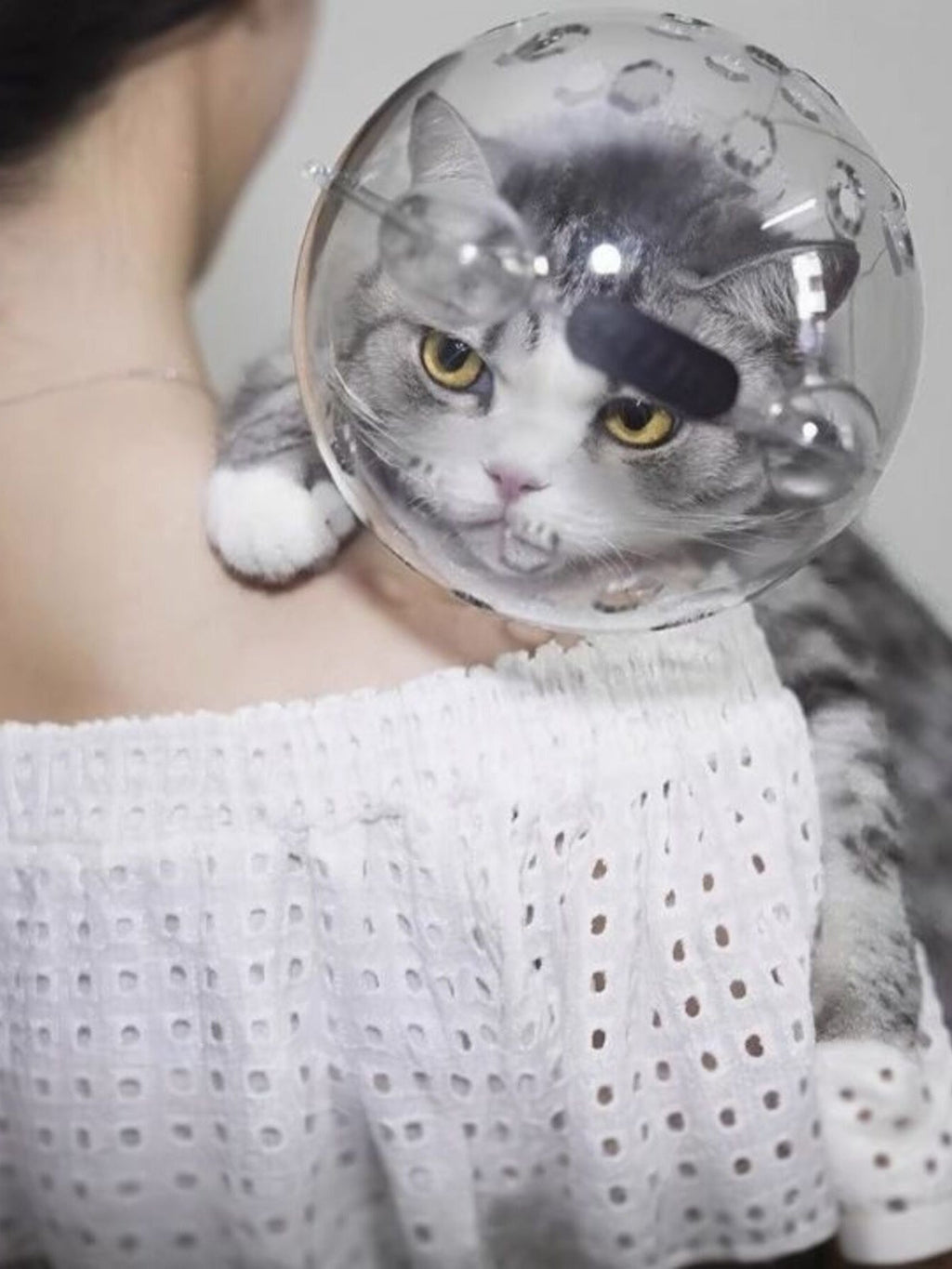 Transparent Anti-Bite Pet Spherical Head Cover