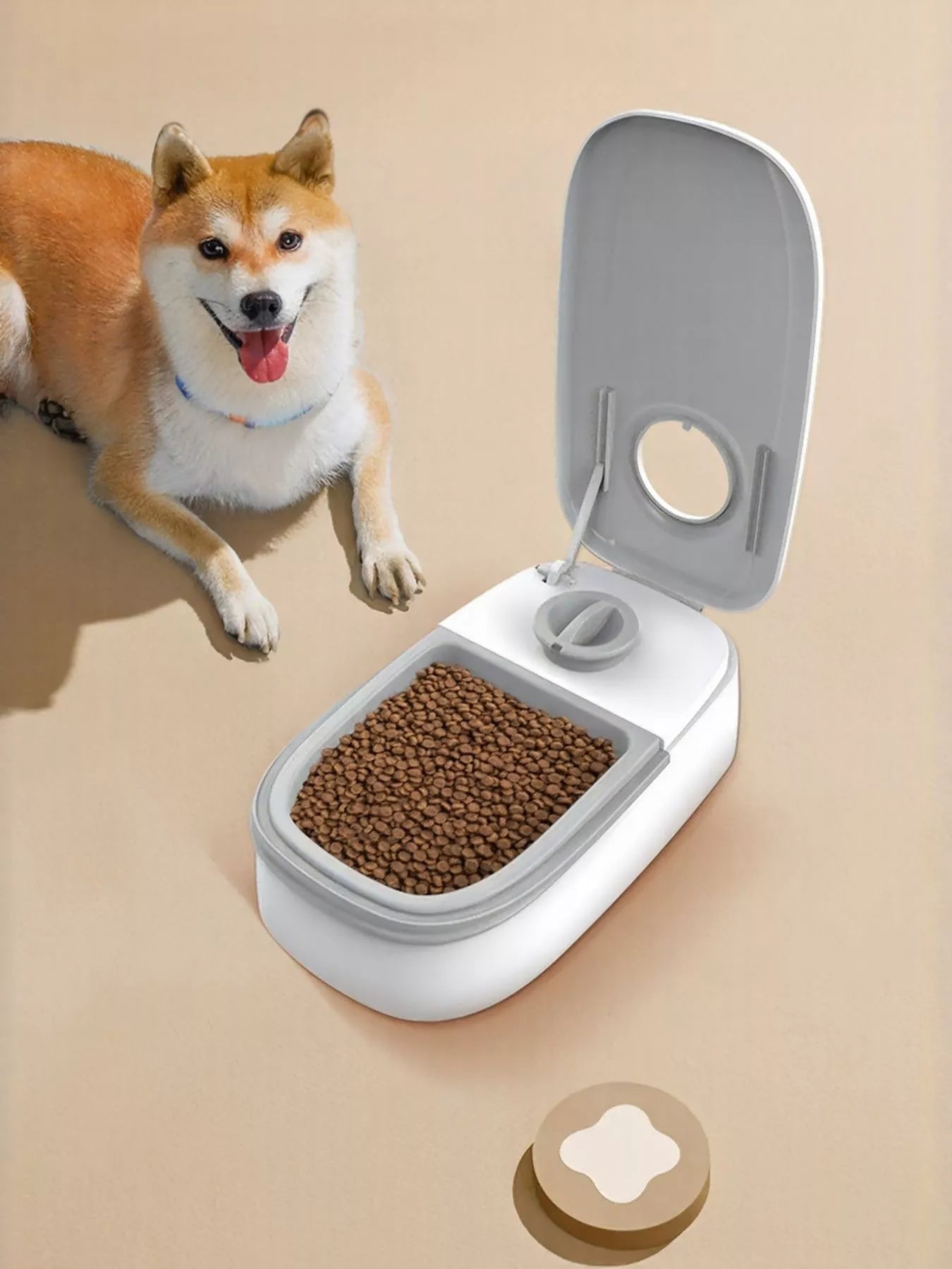 Automatic Pet Feeder with Portion Control