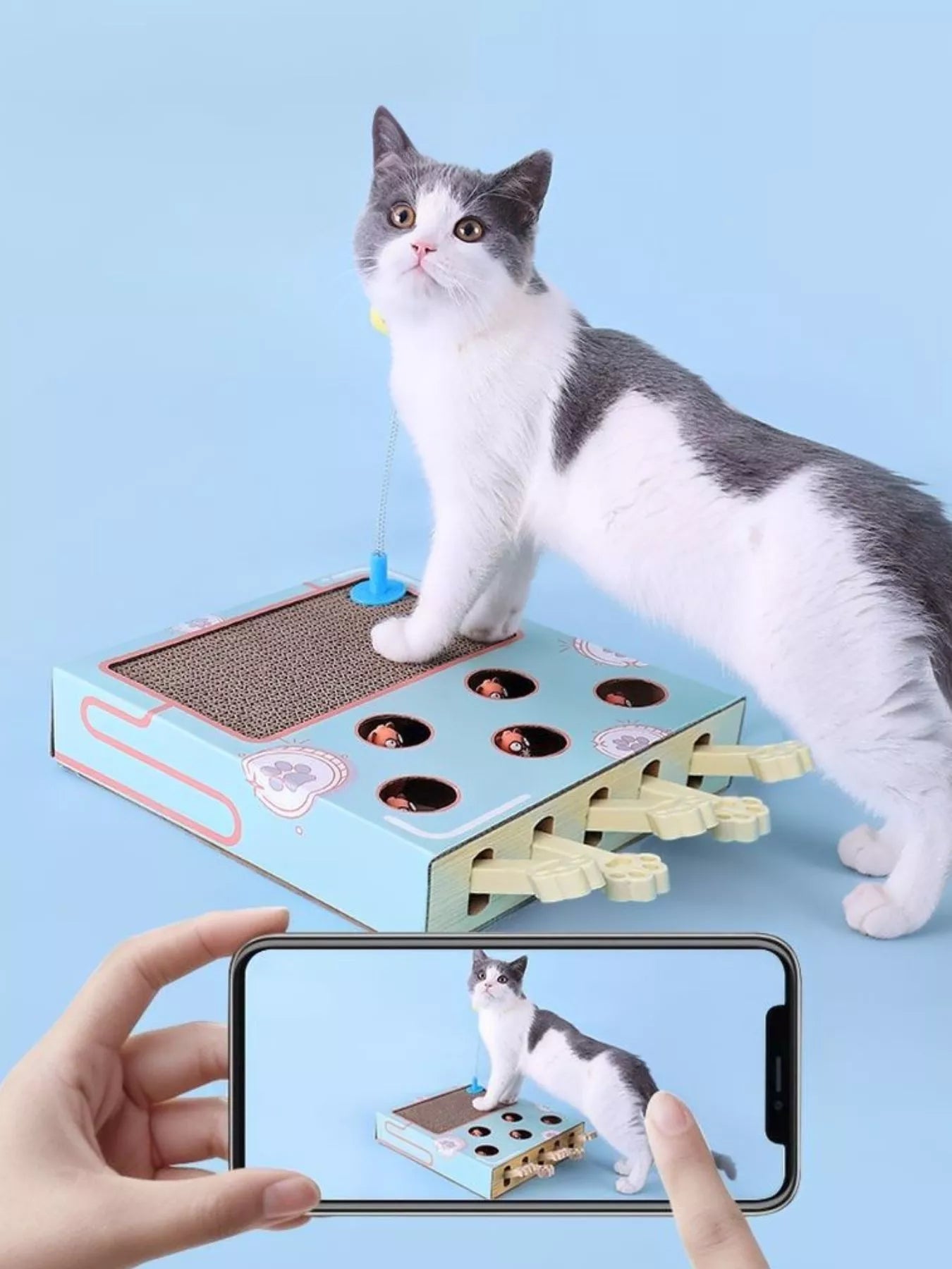 Interactive Whack-A-Mole Cat Toy Box