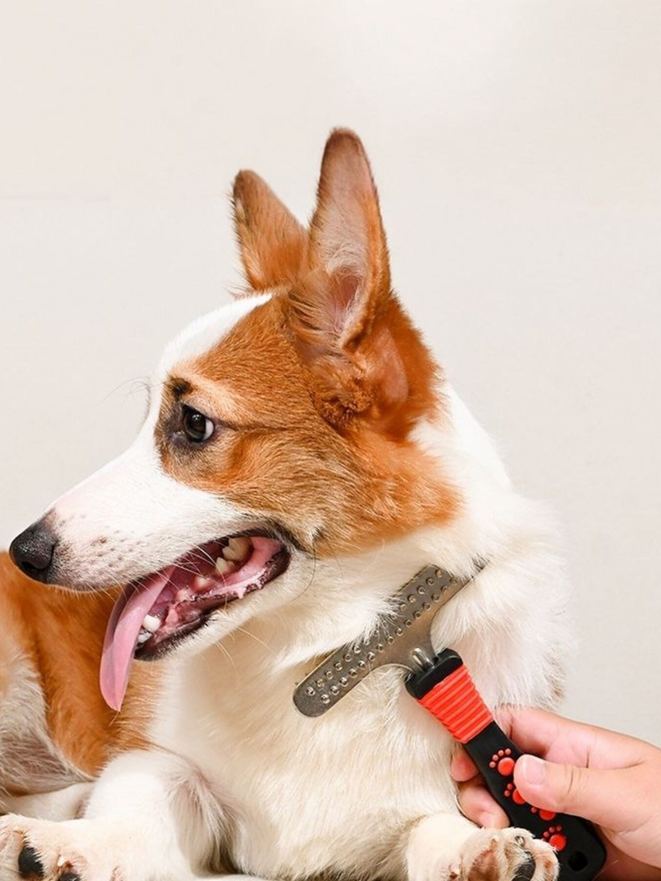 Portable Pet Hair Remover Comb