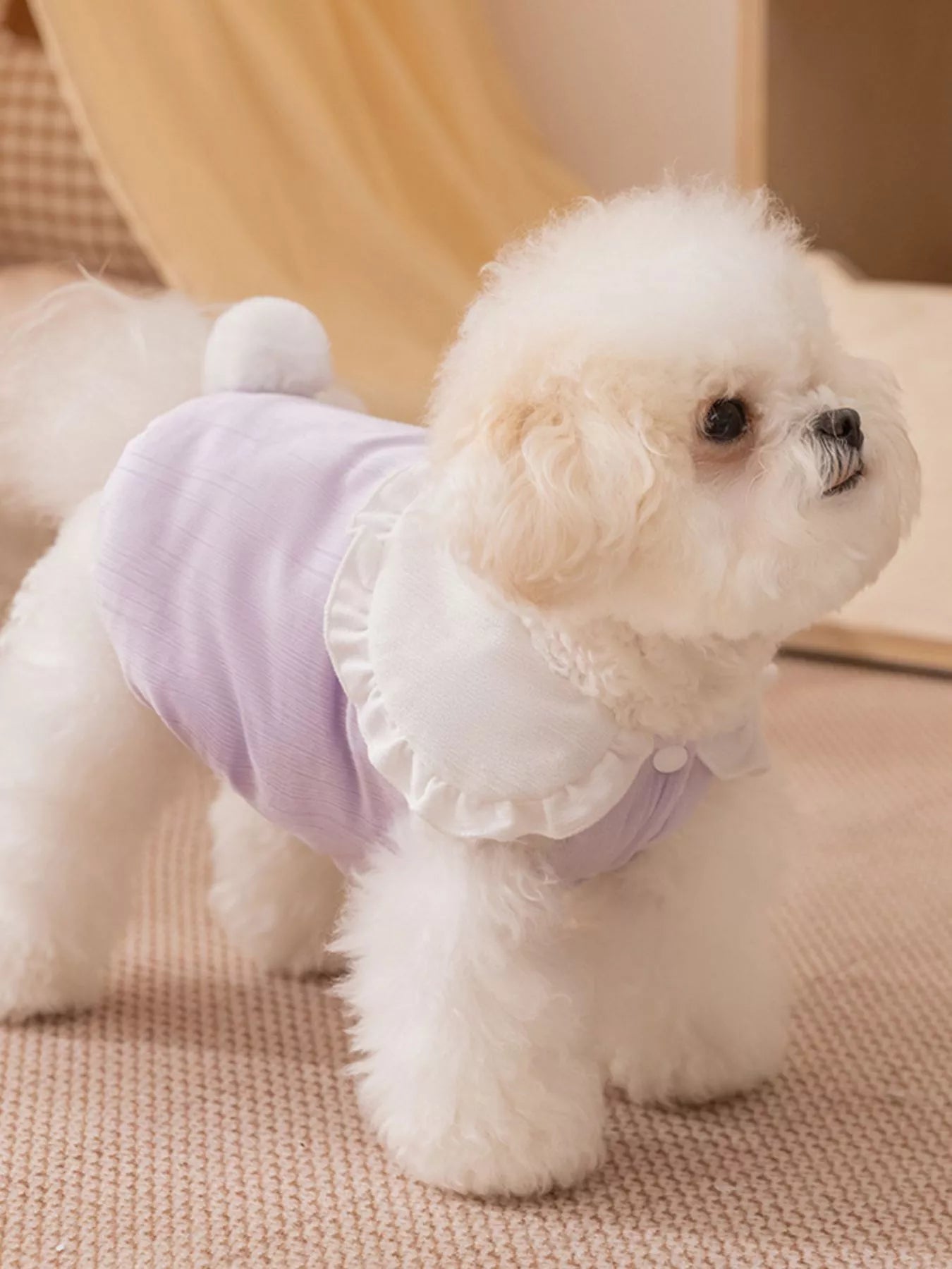 Button-Down Pet Jumpsuit with Ruffle Collar