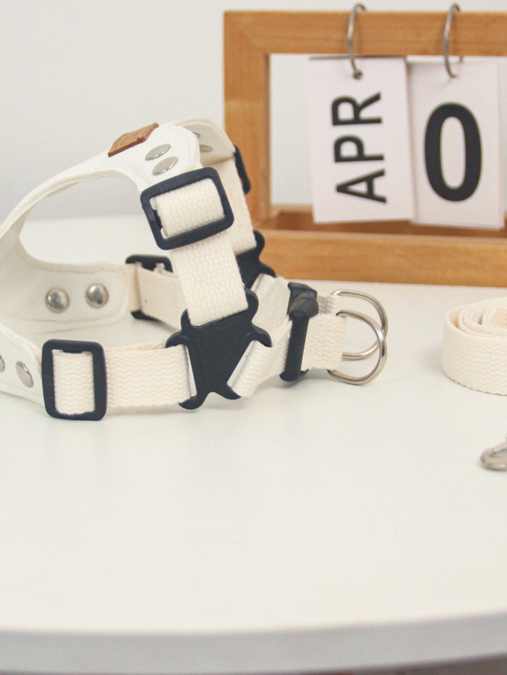 Rivet-Decorated Dog Harness Leash Set