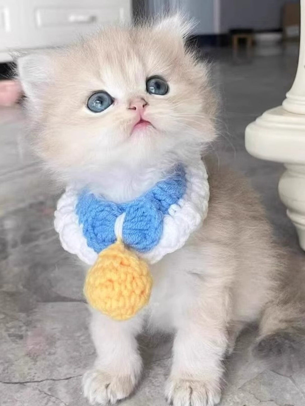 Crochet Pet Collars with Bell