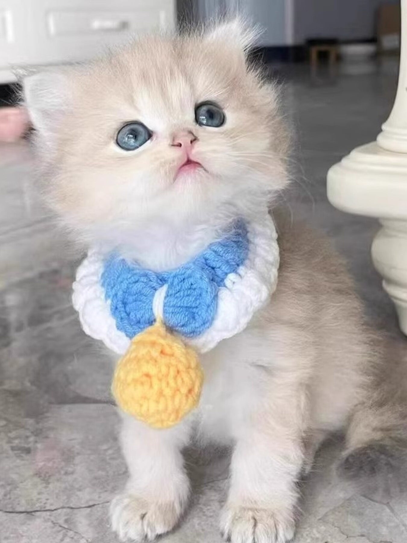 Crochet Pet Collars with Bell