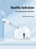 Hot Steaming Facial Beauty Device