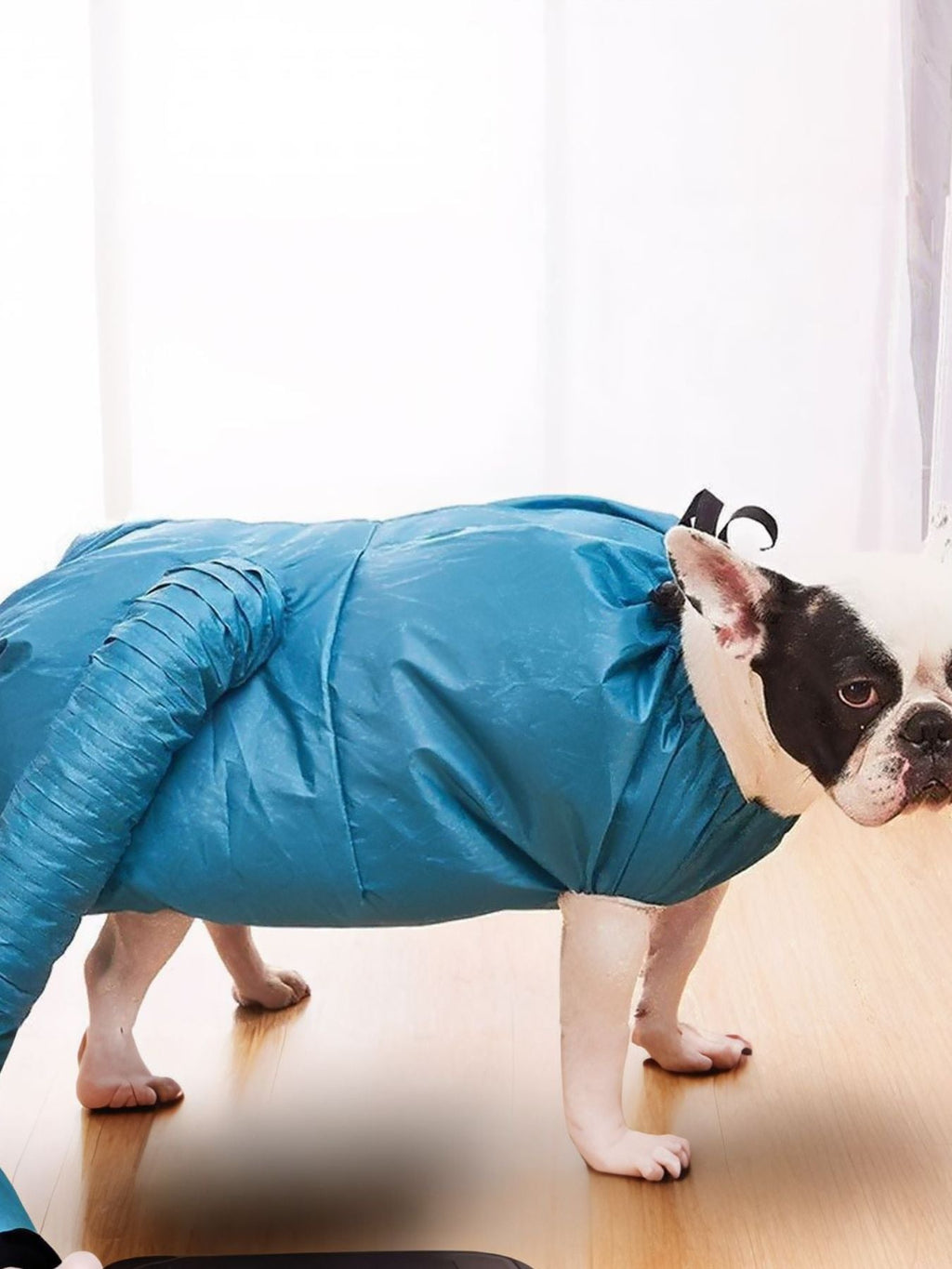 Portable Pet Quick Dry Bag