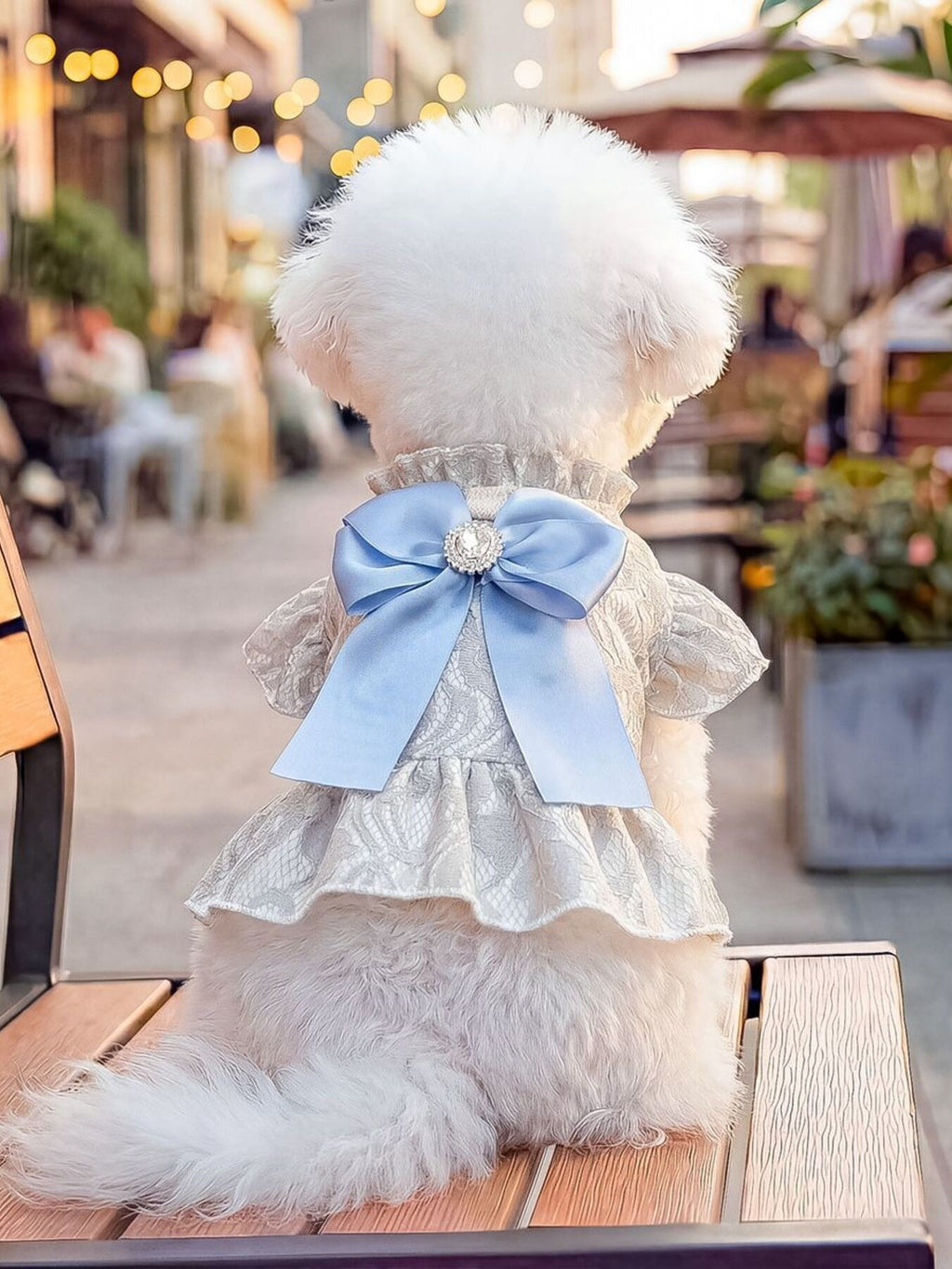 Ruffled Pet Dress with Bow