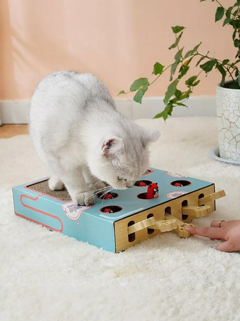 Interactive Whack-A-Mole Cat Toy Box