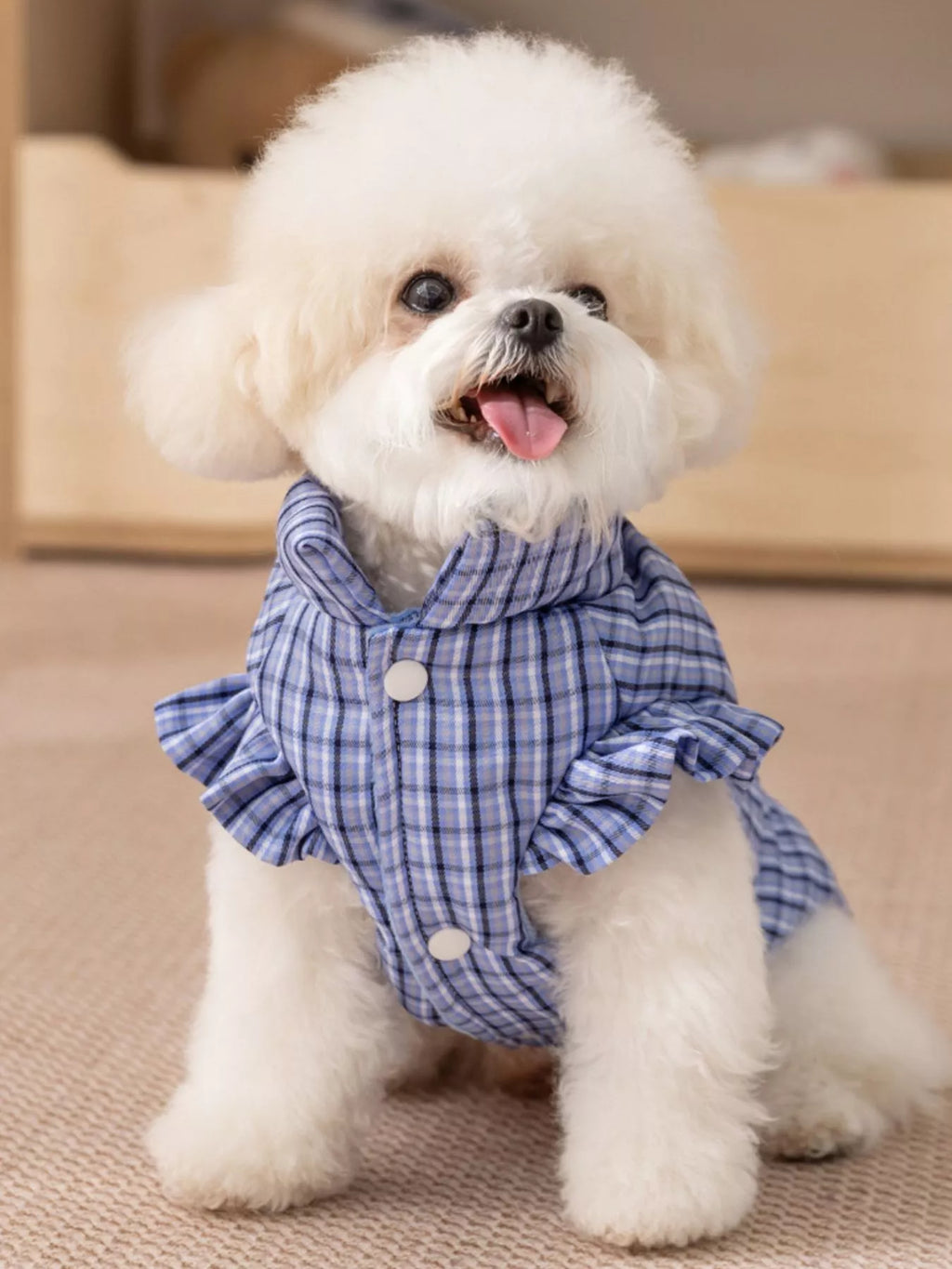 Plaid Ruffle Trim Pet Jacket