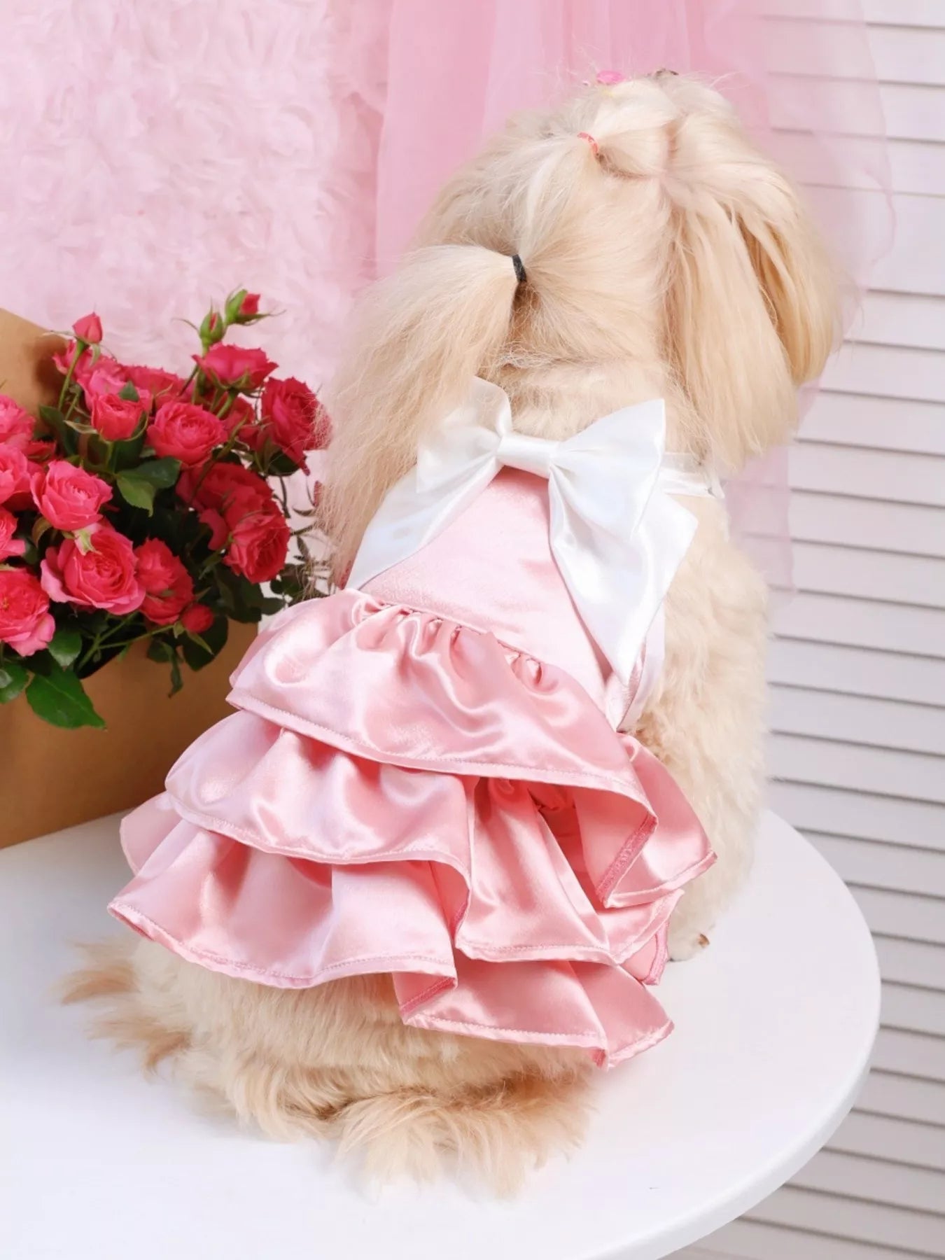 Bow Layered Ruffled Pet Dress