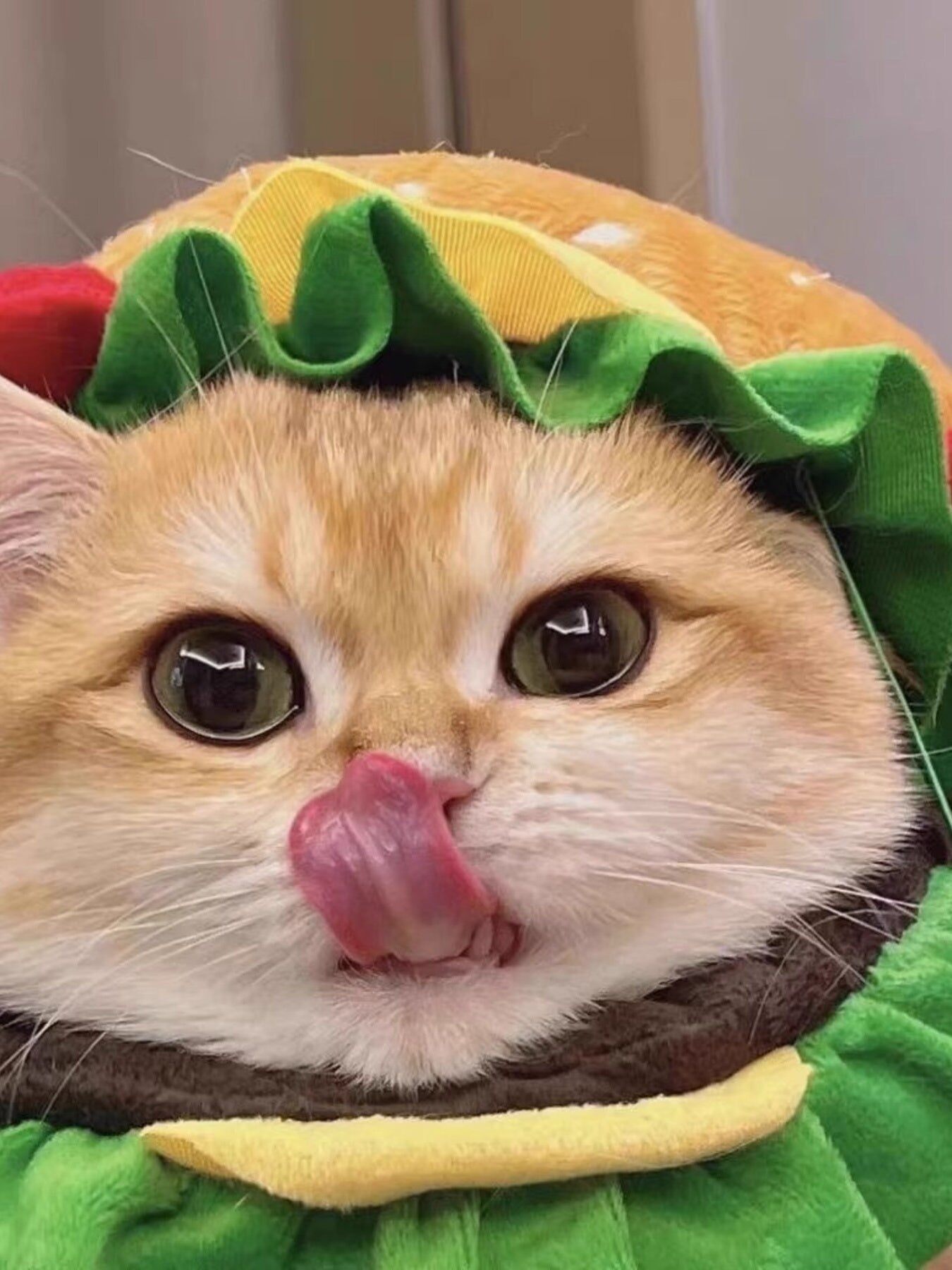 Hamburger Style Pet Headwear