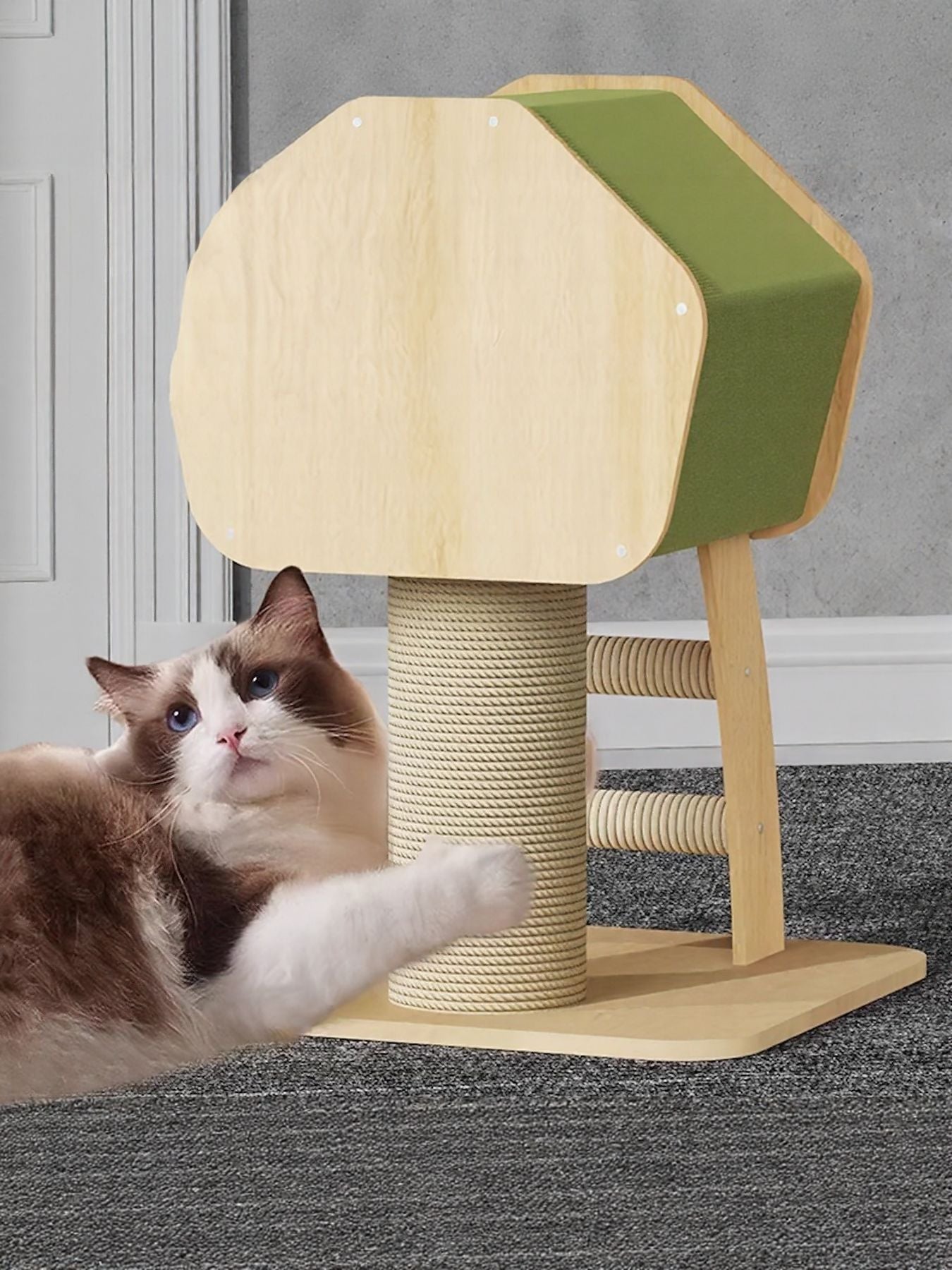Modern Wooden Cat Condo with Scratching Post