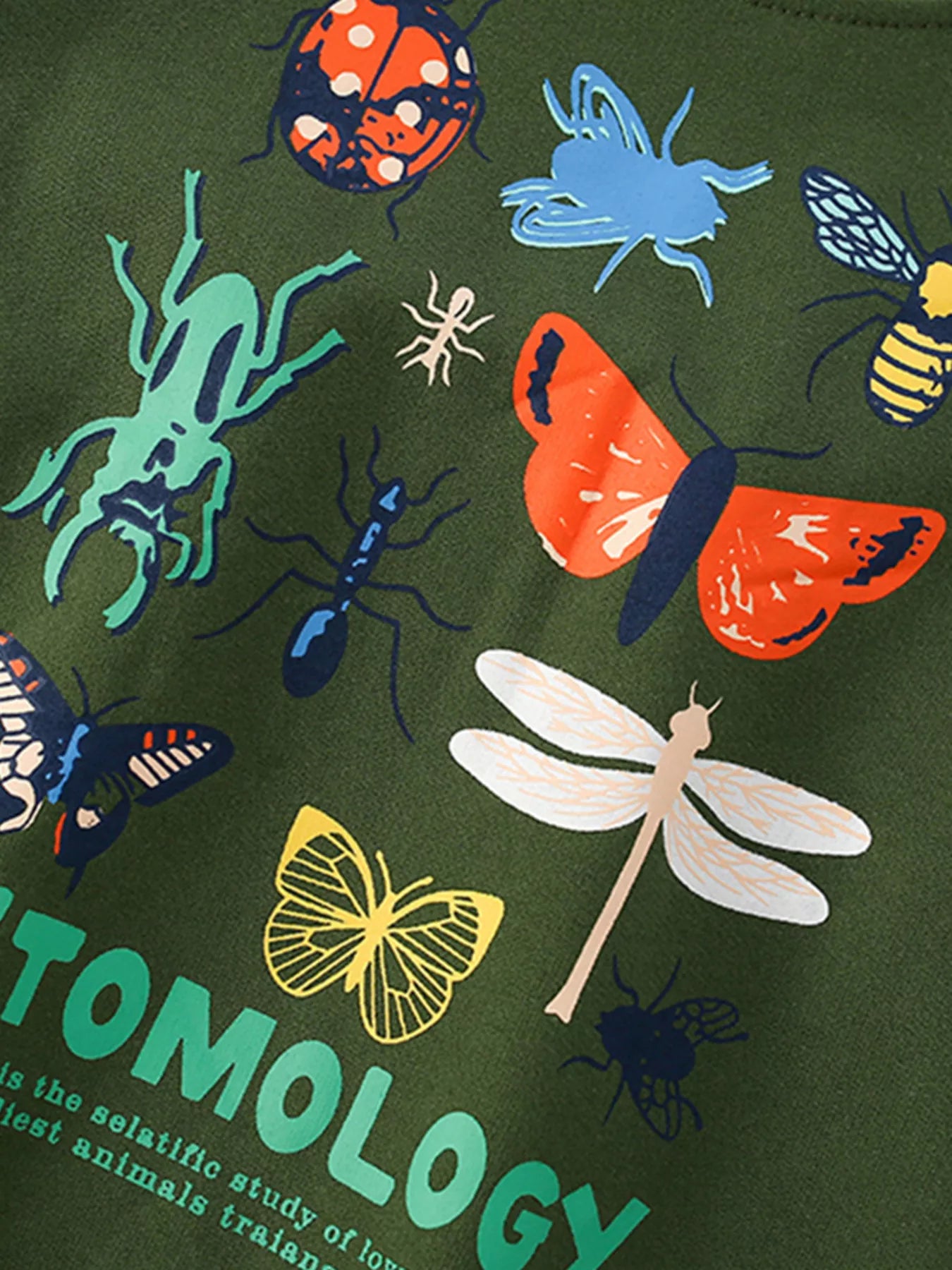 Children's Butterfly Crew Neck Sweatshirt