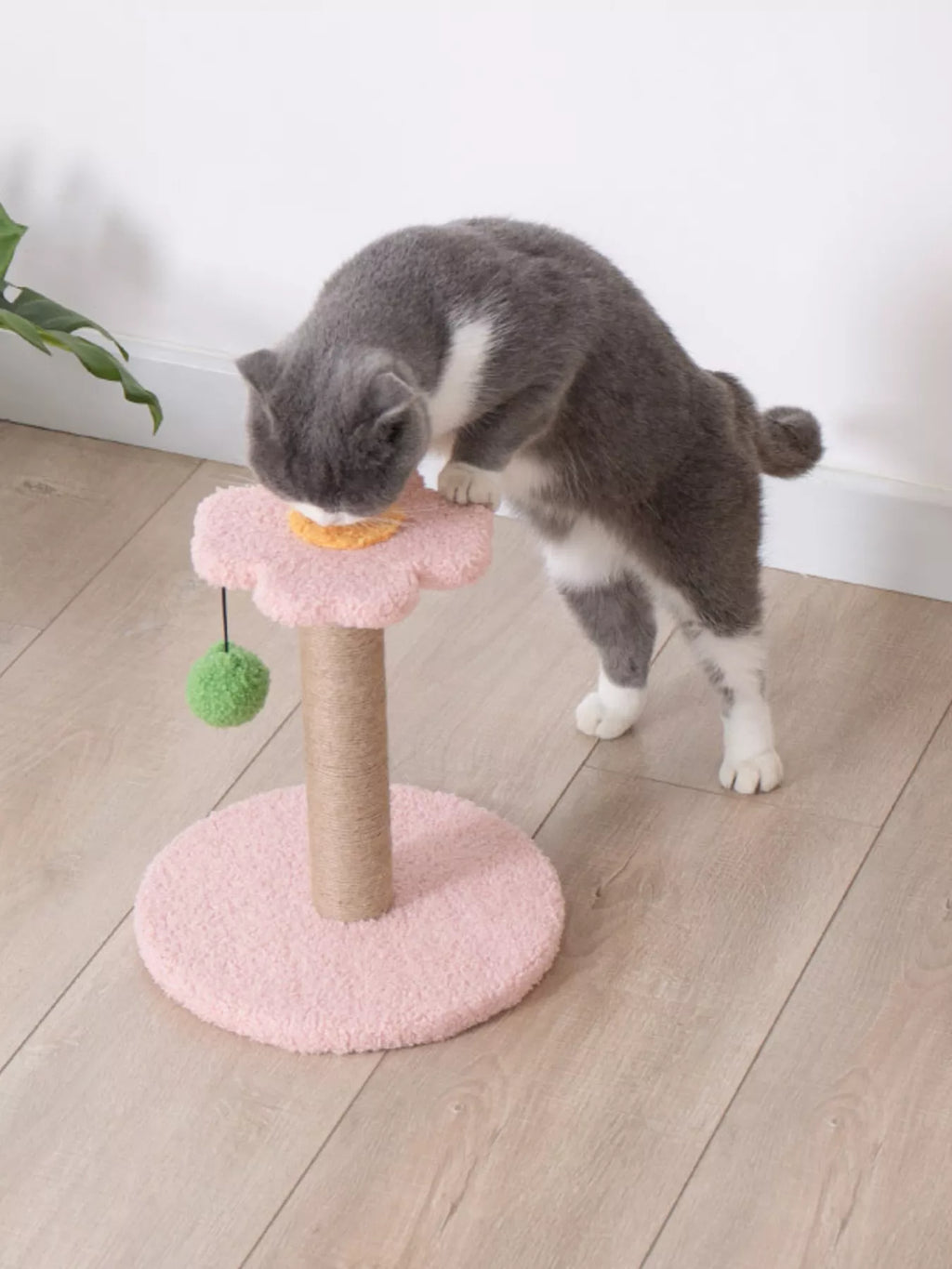 Flower-Shaped Cat Scratching Post with Plush Base