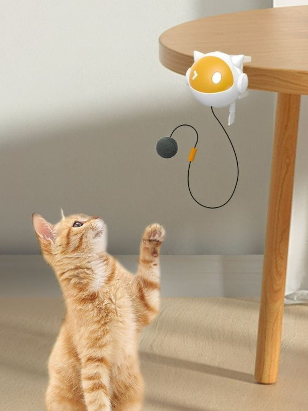 Interactive Hanging Cat Teaser Toy with Ball