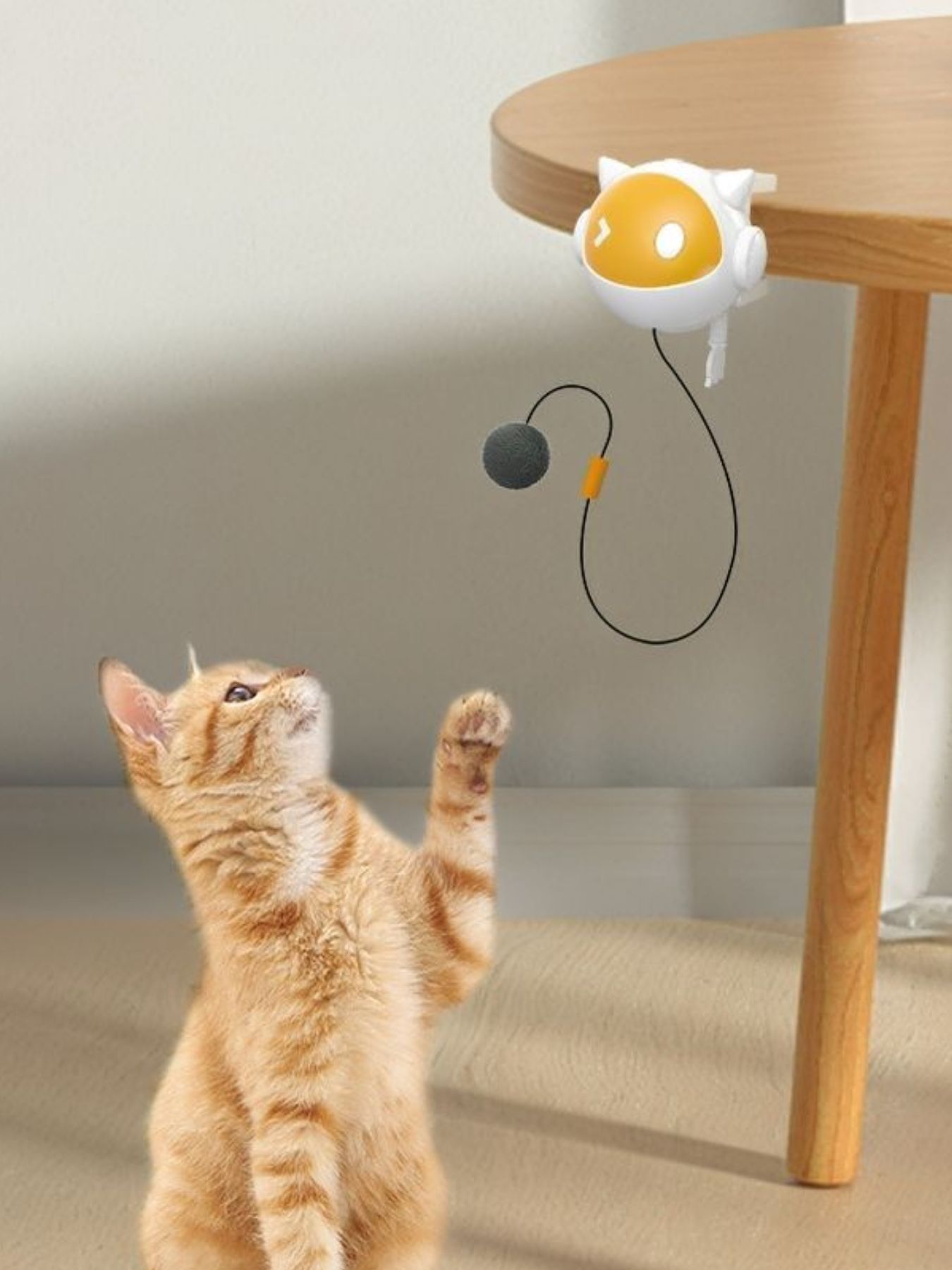 Interactive Hanging Cat Teaser Toy with Ball
