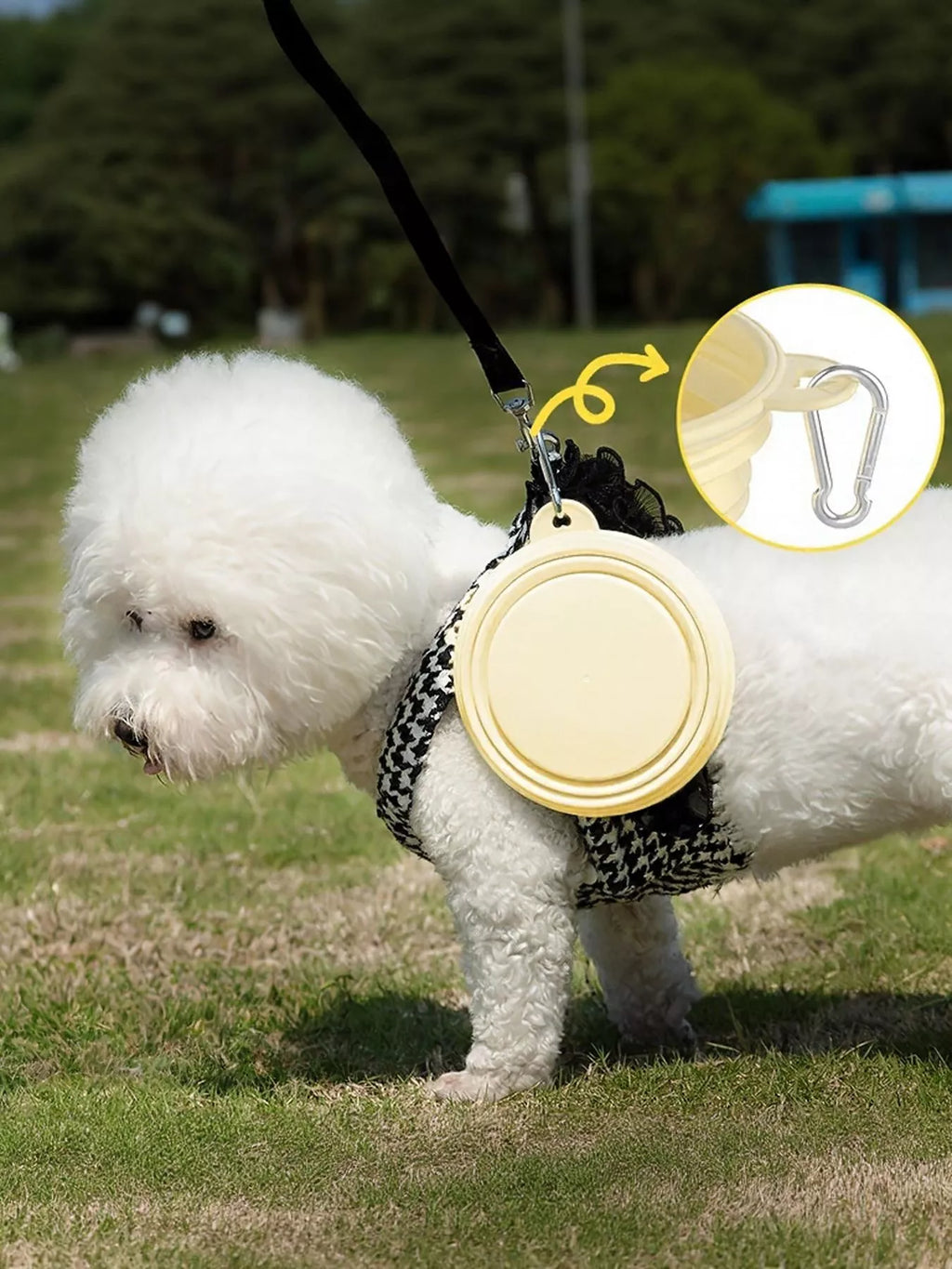 Portable Collapsible Pet Bowls
