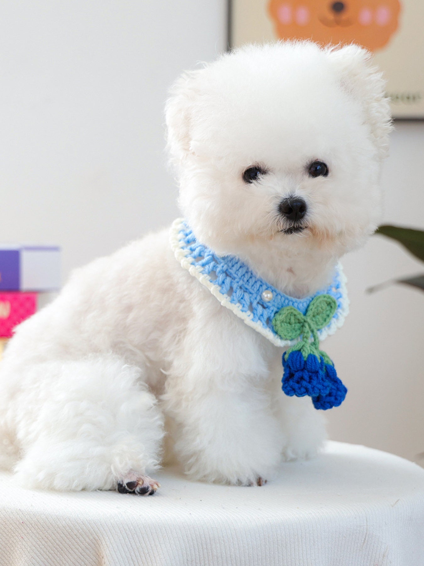 Contrast Pet Scarf