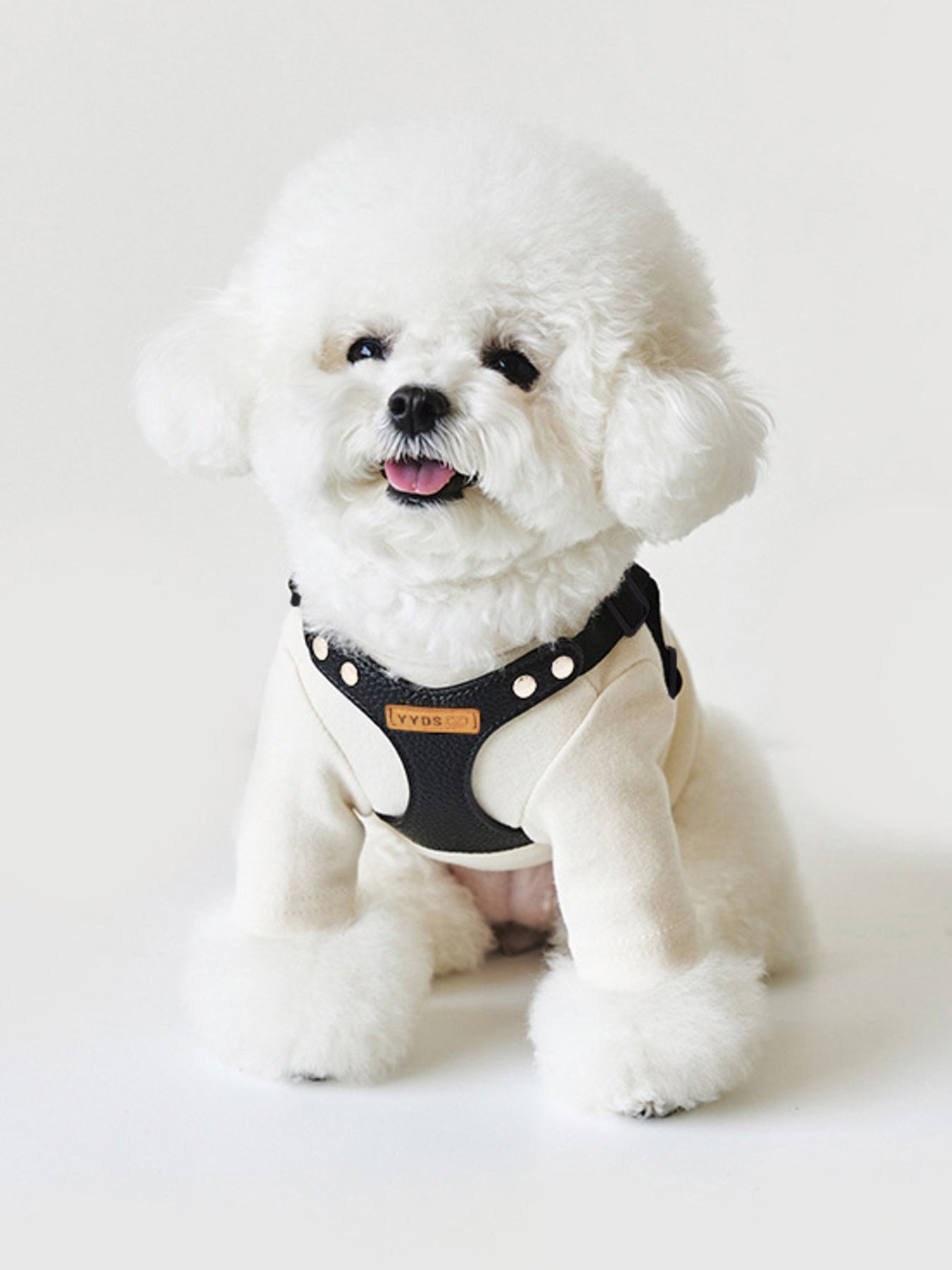 Rivet-Decorated Dog Harness Leash Set