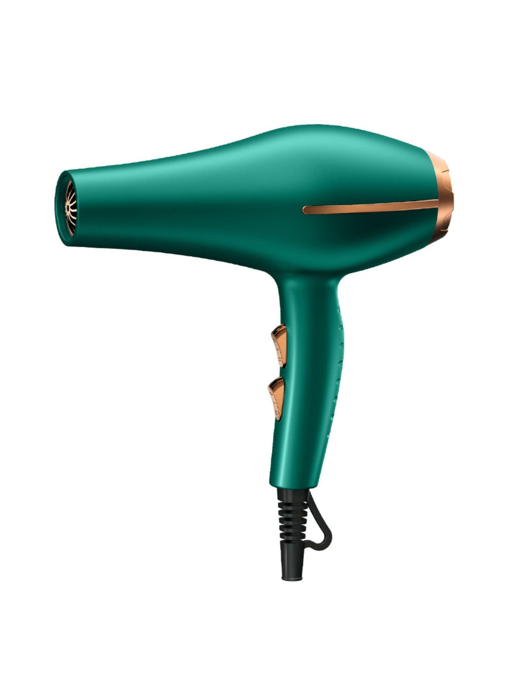 Adjustable Temperature Hair Dryer
