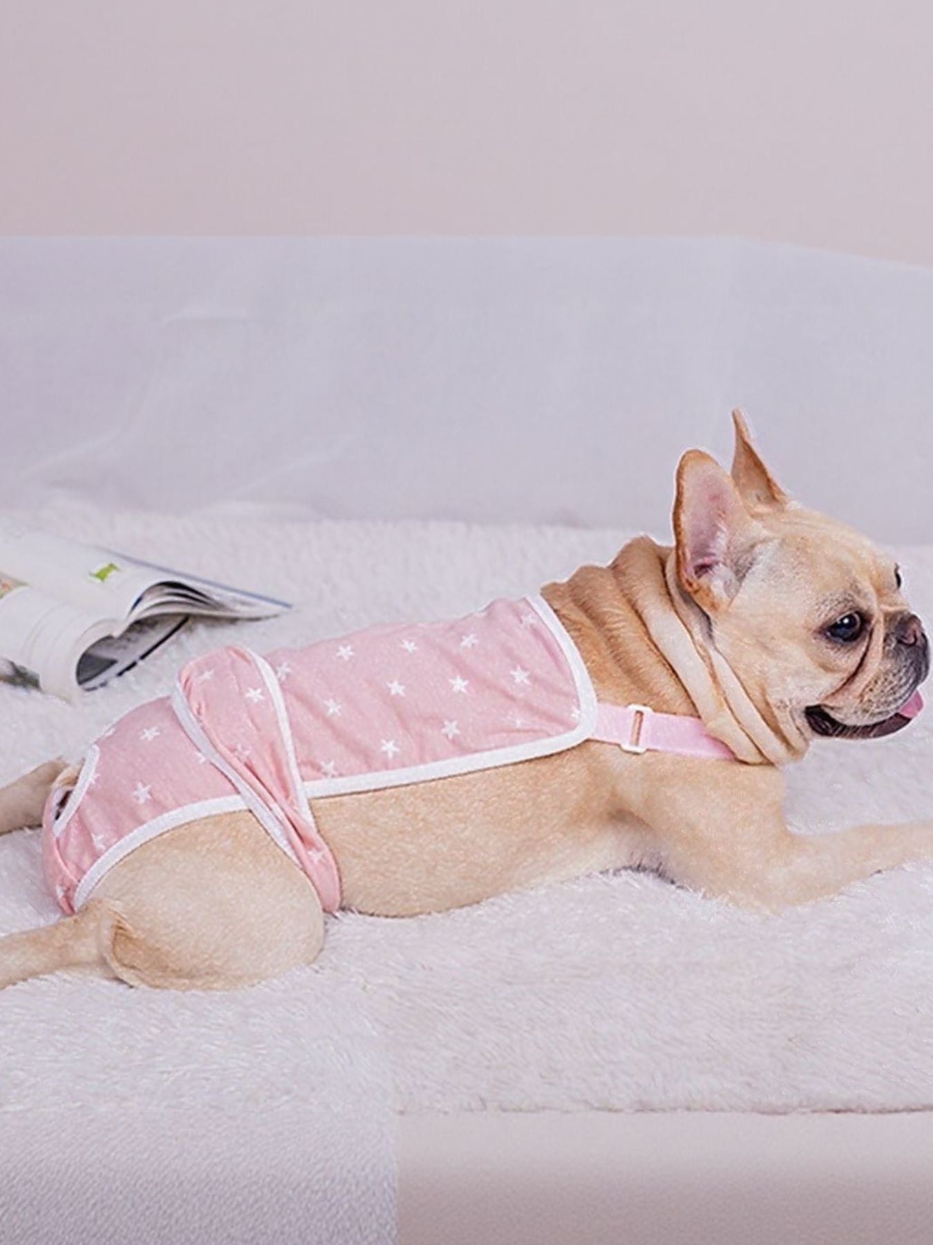 Anti-Harassment Pet Functional Clothing