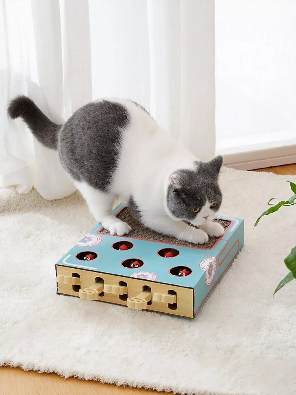 Interactive Whack-A-Mole Cat Toy Box