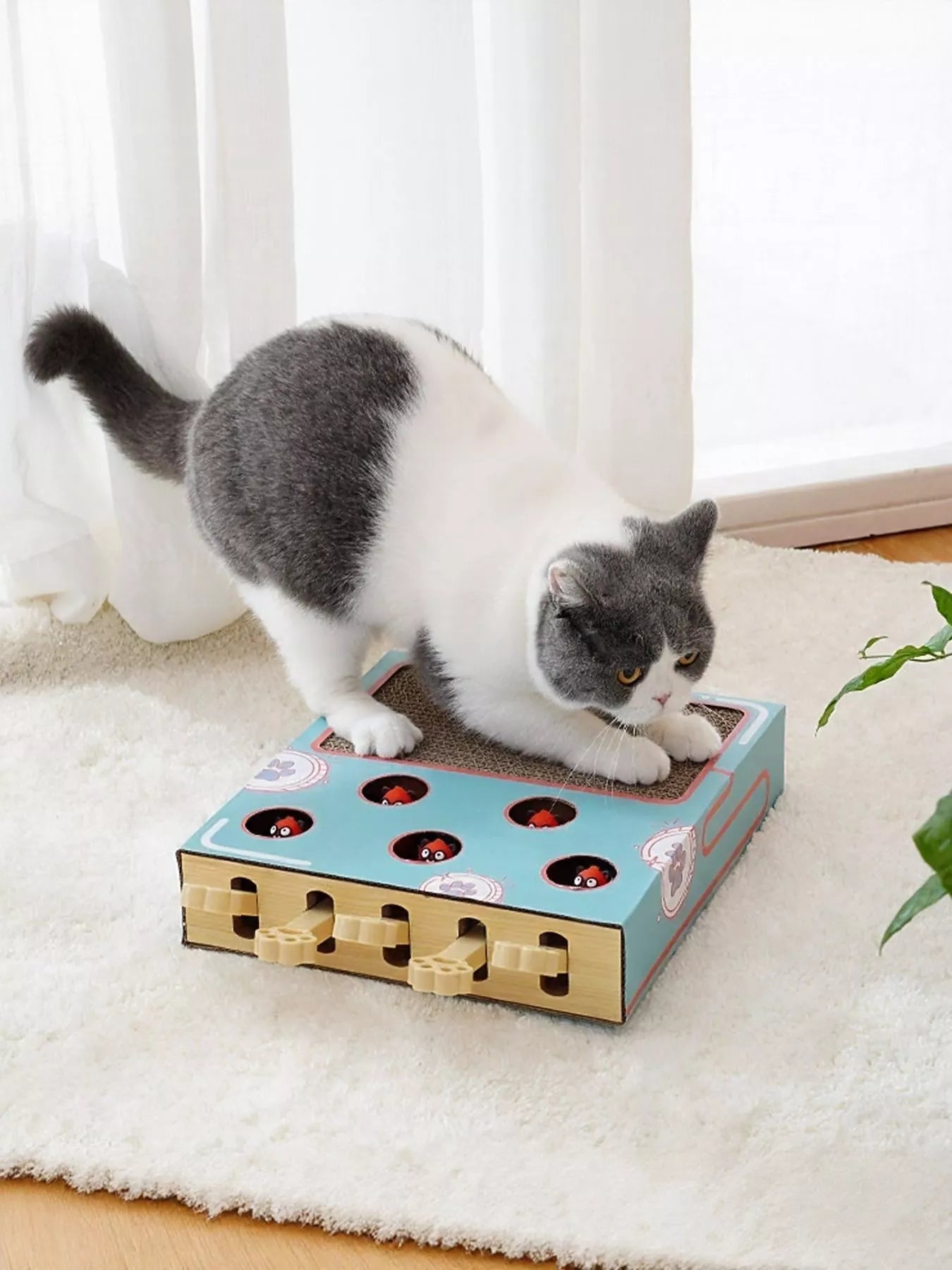 Interactive Whack-A-Mole Cat Toy Box