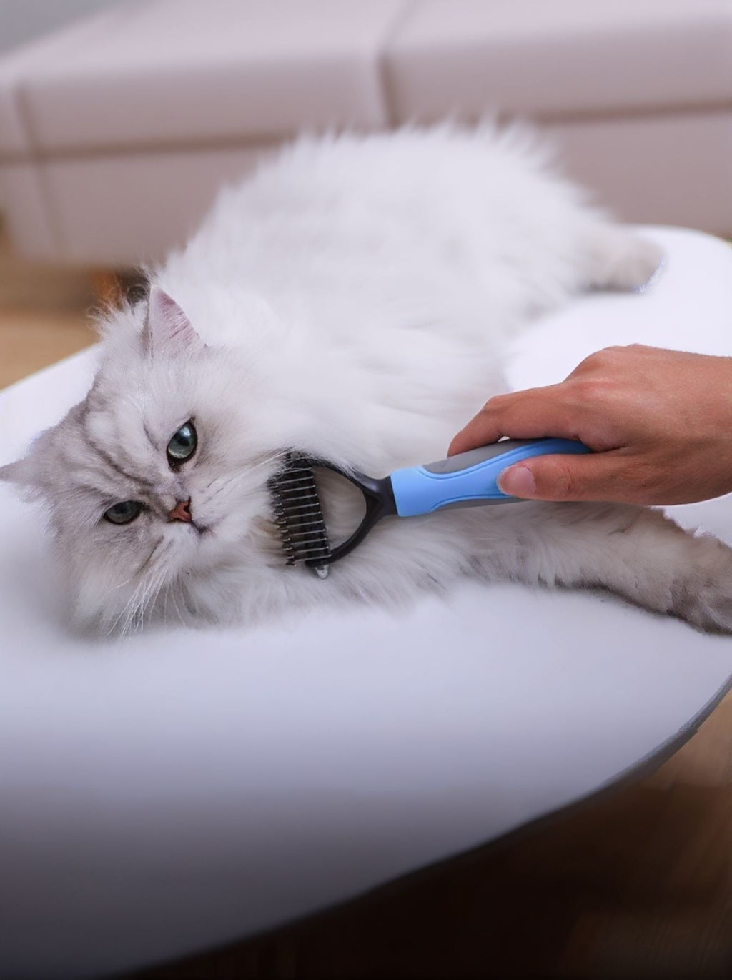 Reduces Shedding Pet Hair Removal Combs