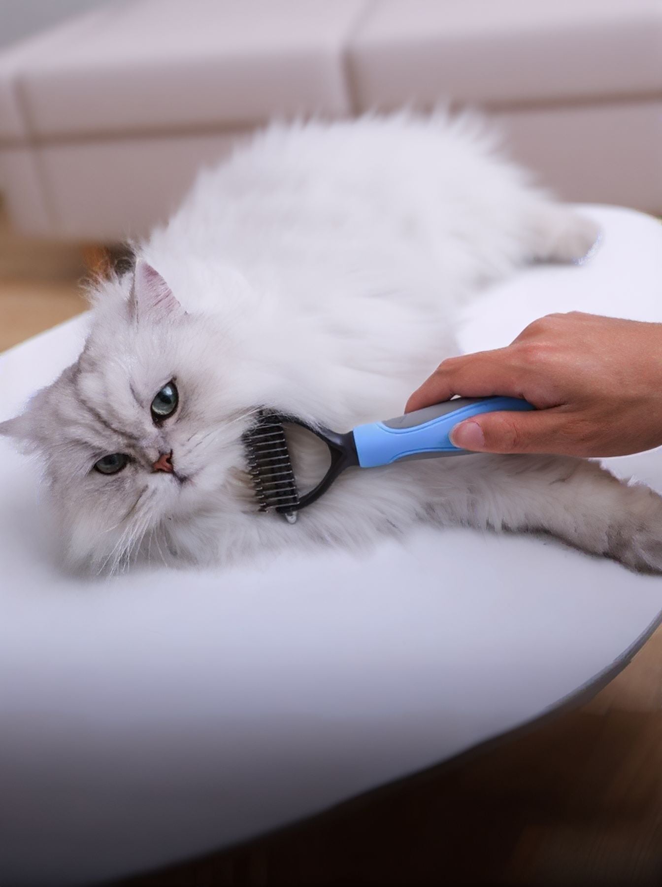 Reduces Shedding Pet Hair Removal Combs
