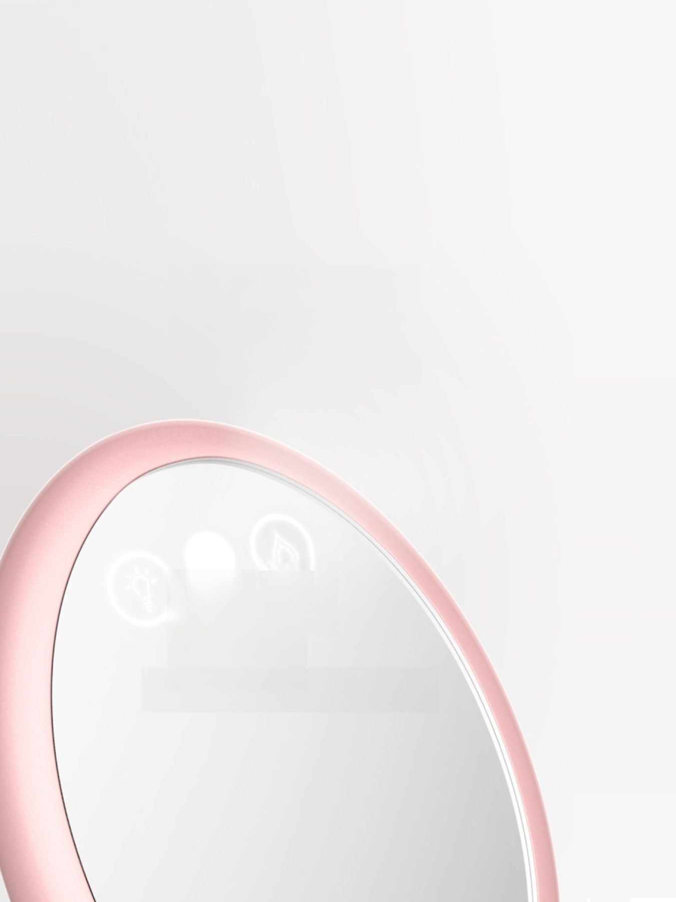 Facial Steamer Beauty Device