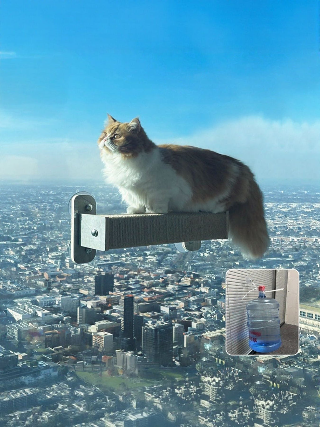 Window Mounted Cat Condos