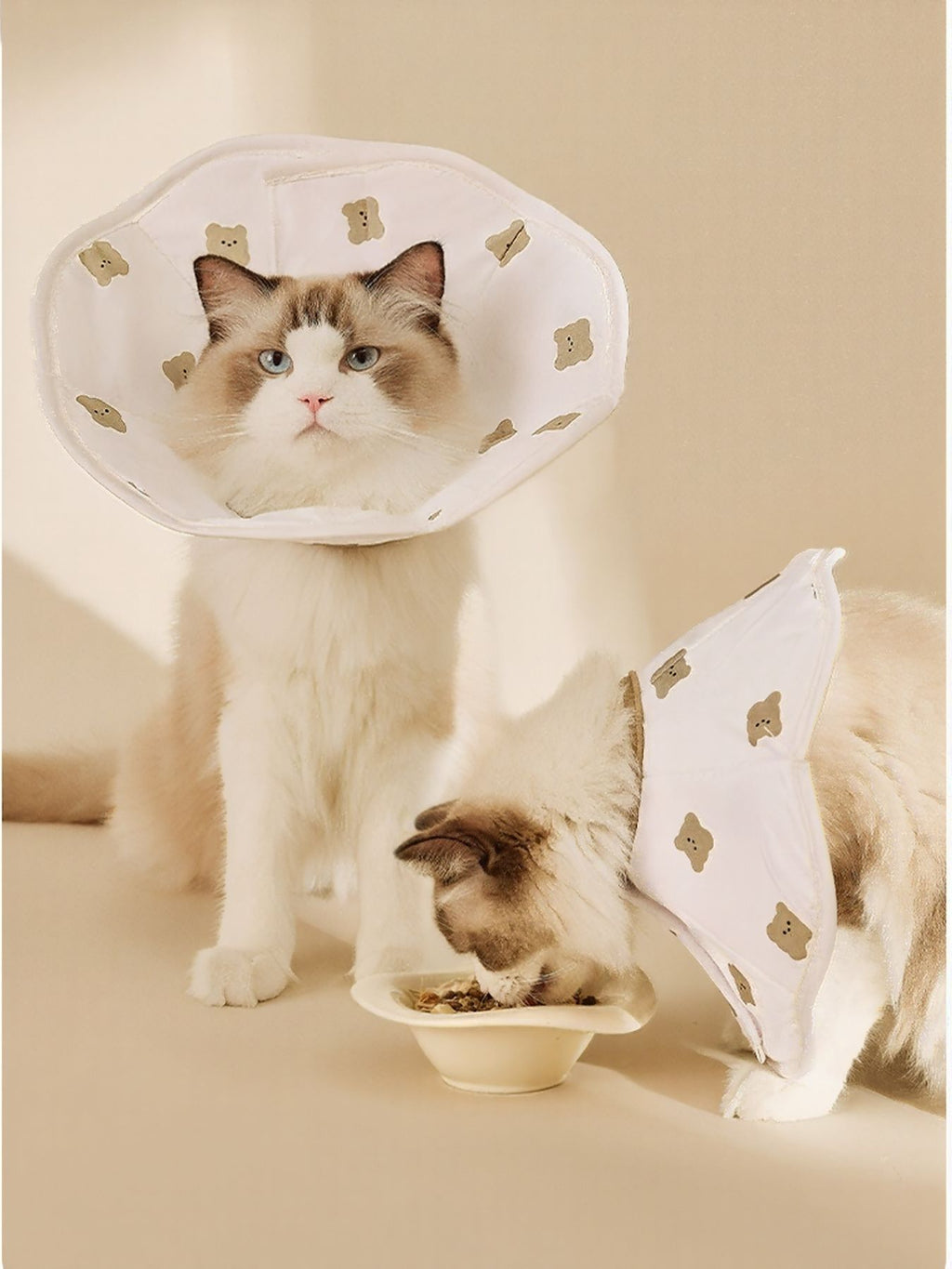 Cute Bear Pattern Protective Pet Collars
