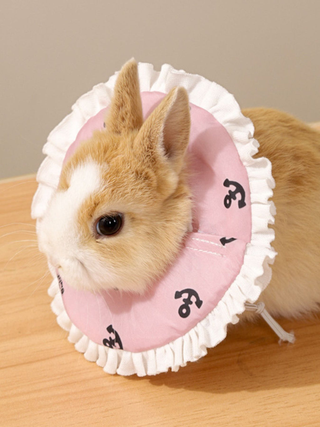 Adjustable Pet Collars