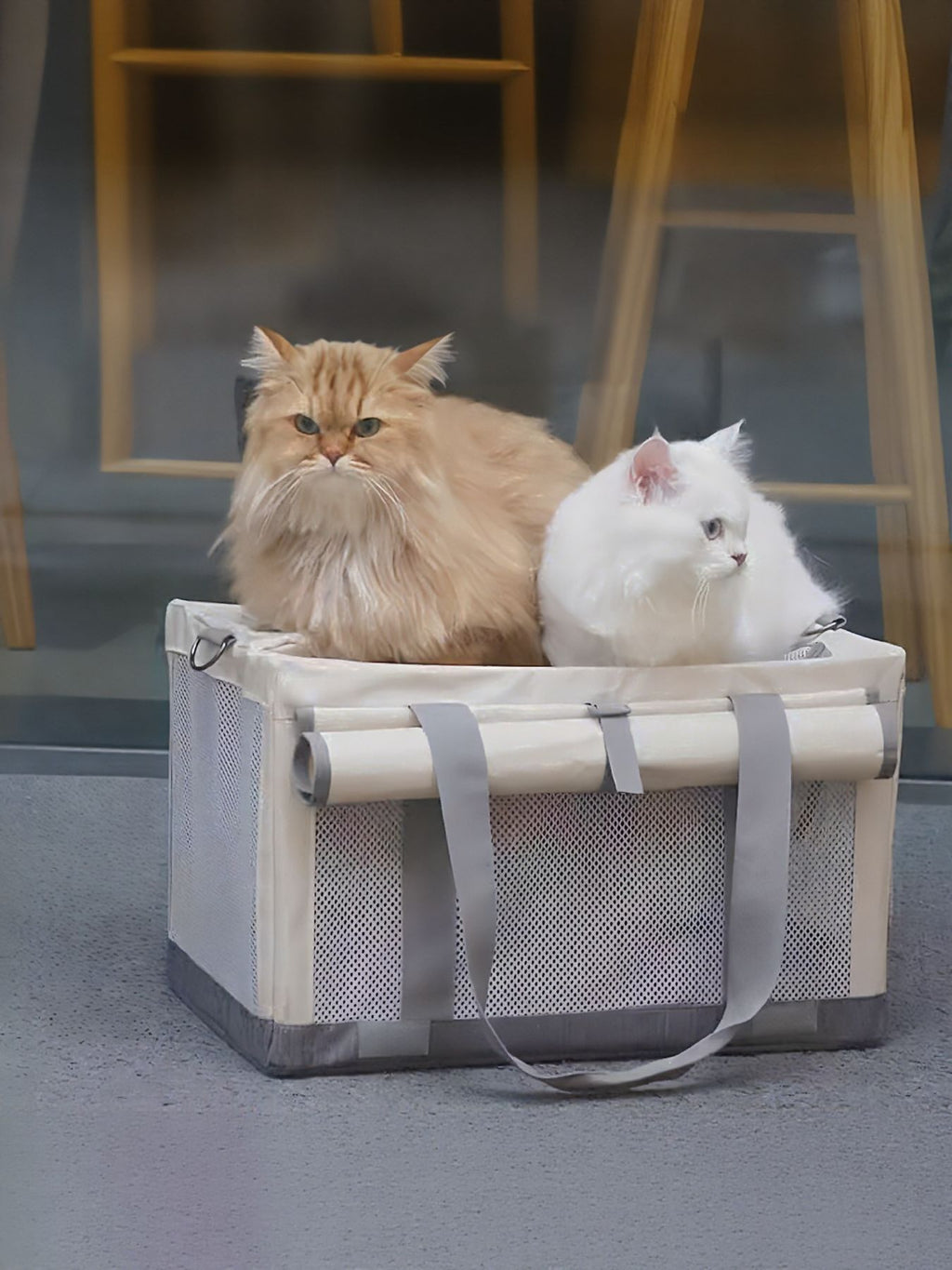 Portable Breathable Pet Carrier Bag