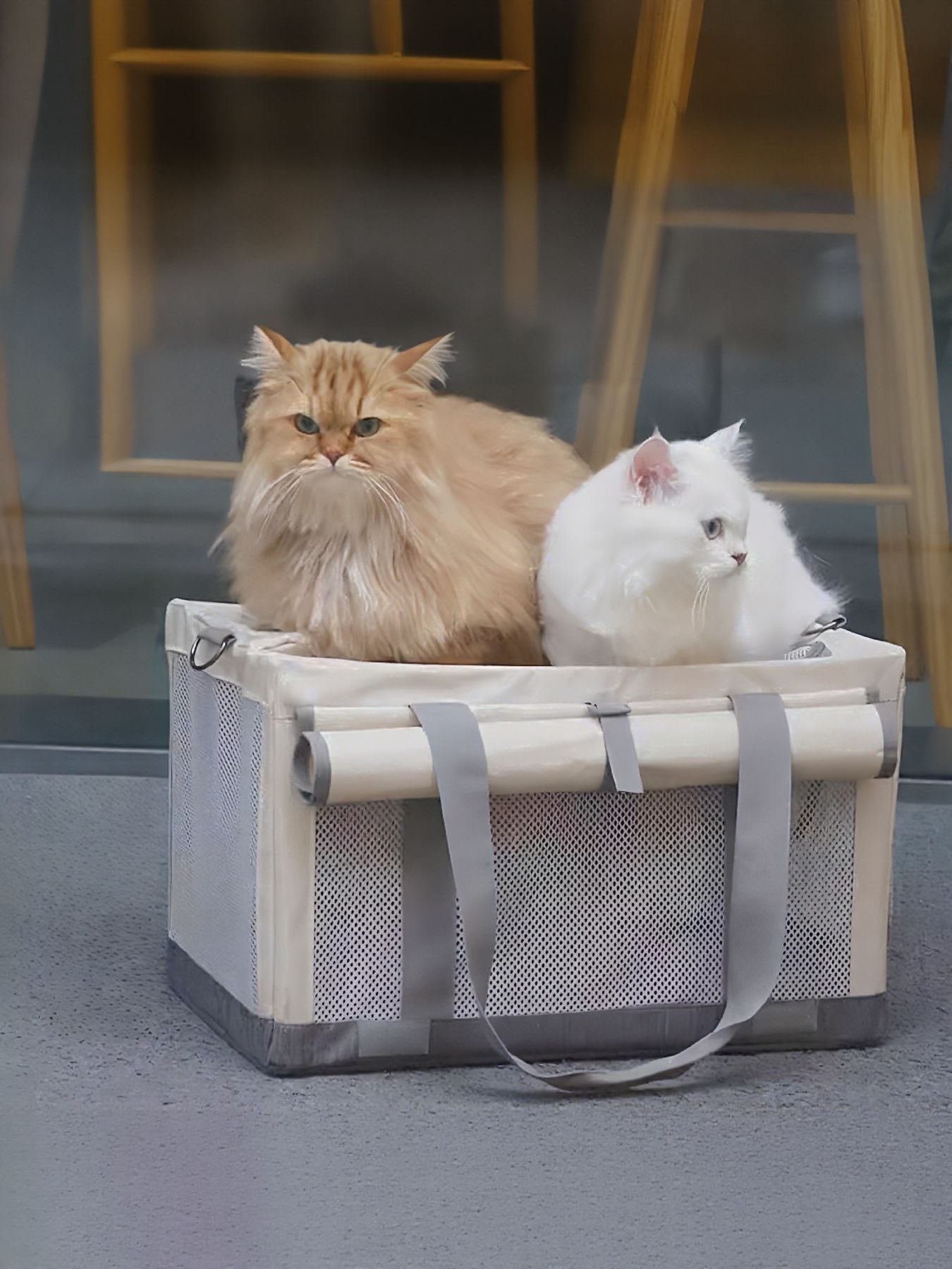 Portable Breathable Pet Carrier Bag
