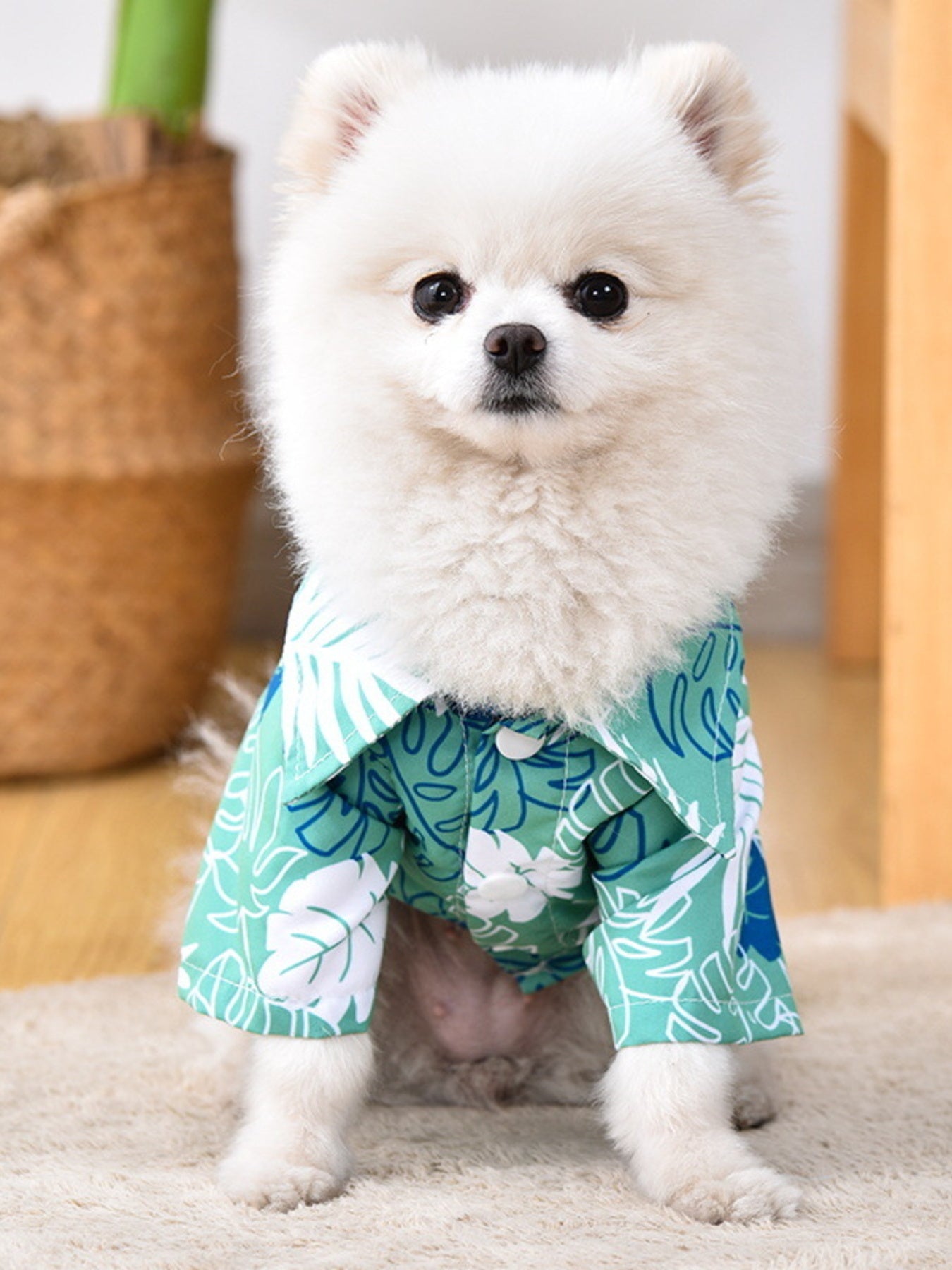 Lightweight Pet Top