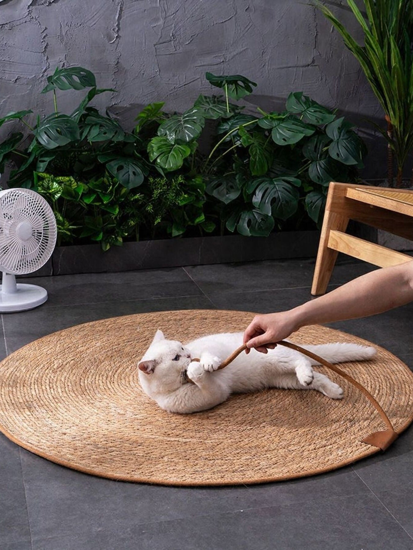 Round Braided Pet Mat