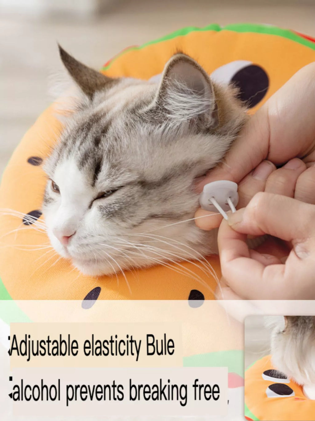 Adjustable Cute Pet Collar