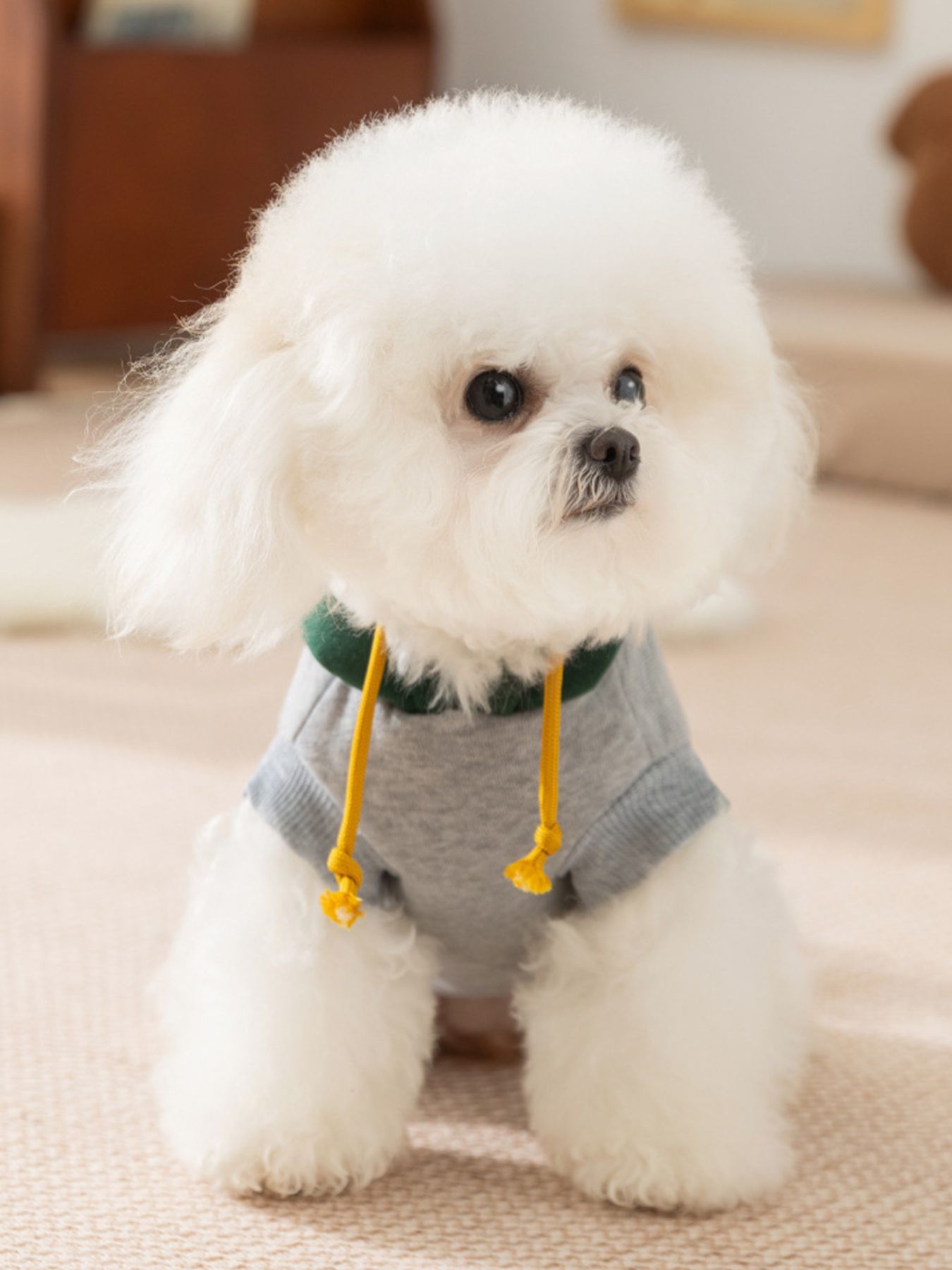 Cute Cartoon Pet Top
